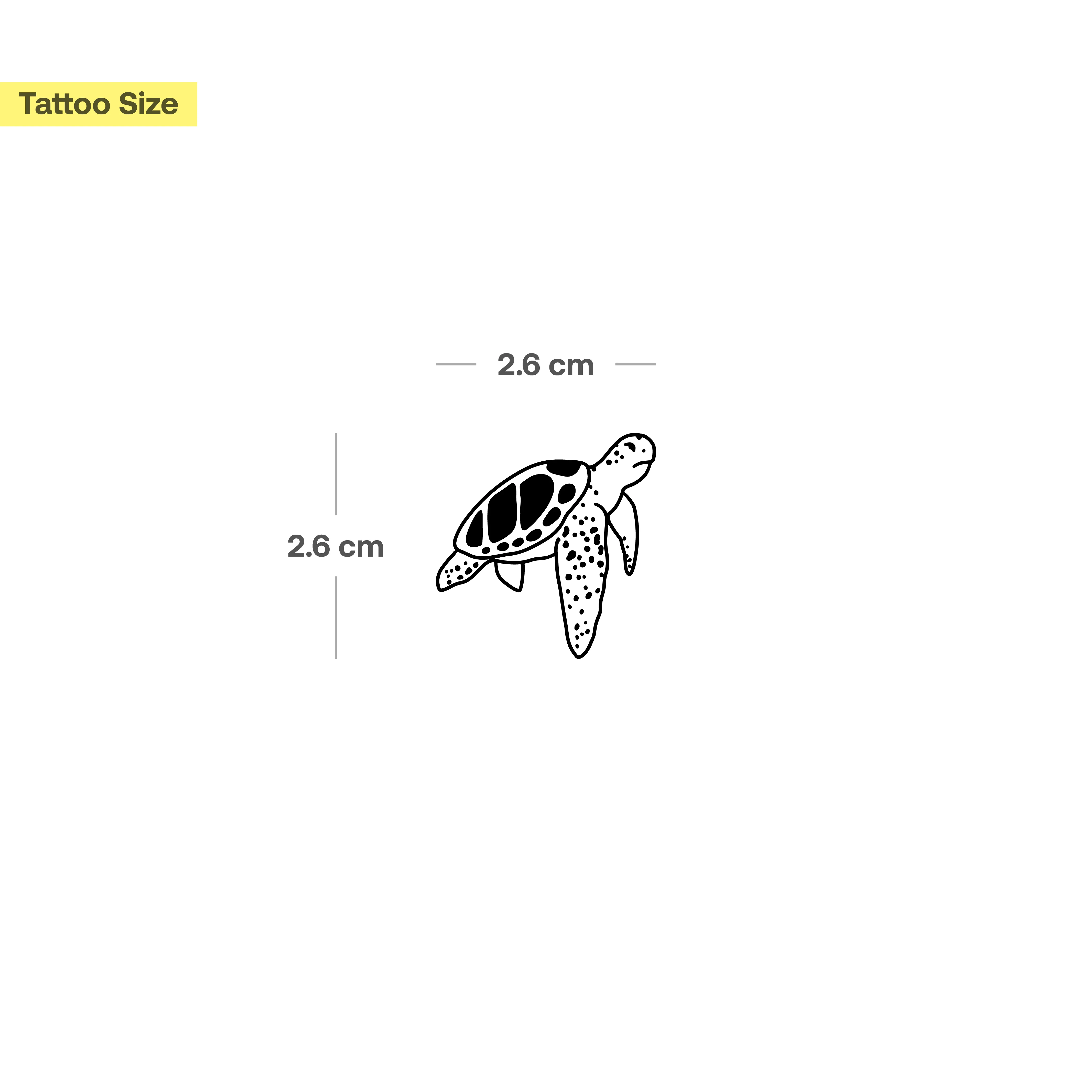 Adorable tortue - Image 3