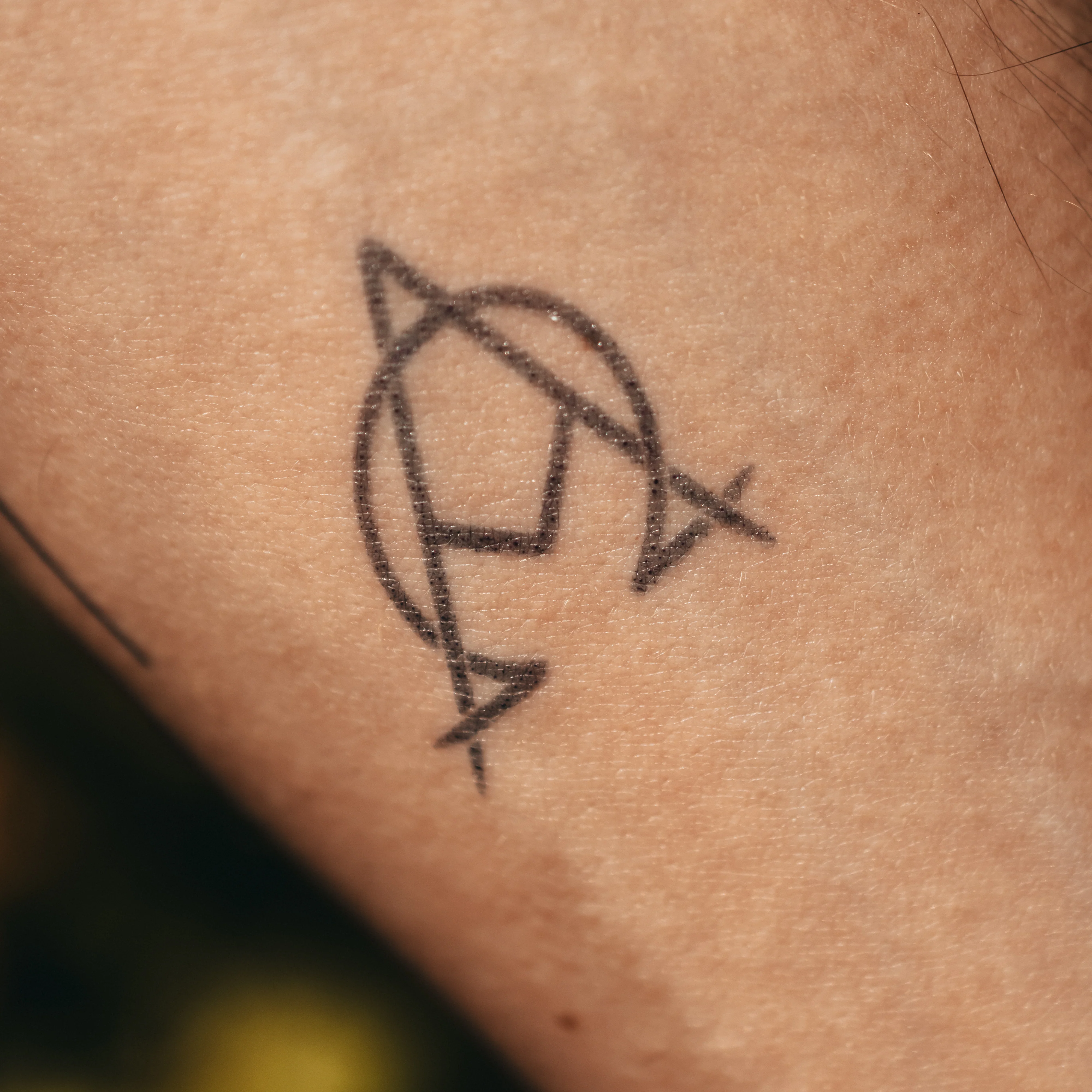 Alpha Omega - Image 4