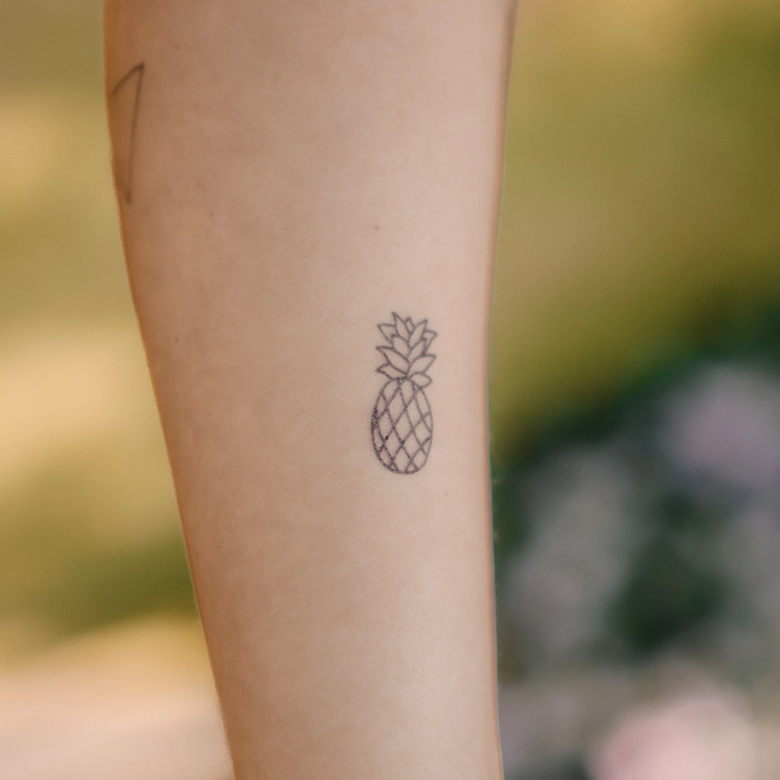 Ananas minimaliste