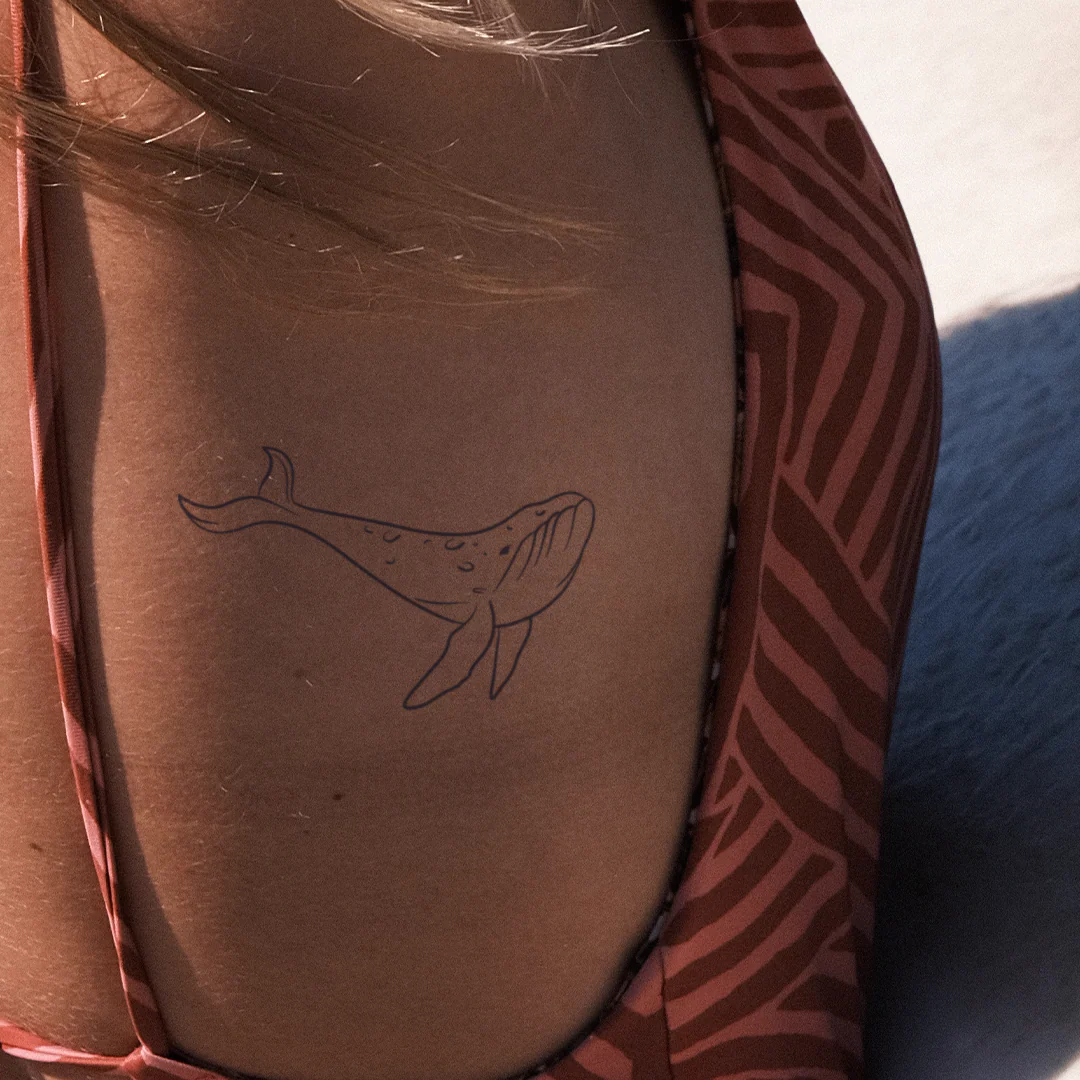 Baleine minimaliste