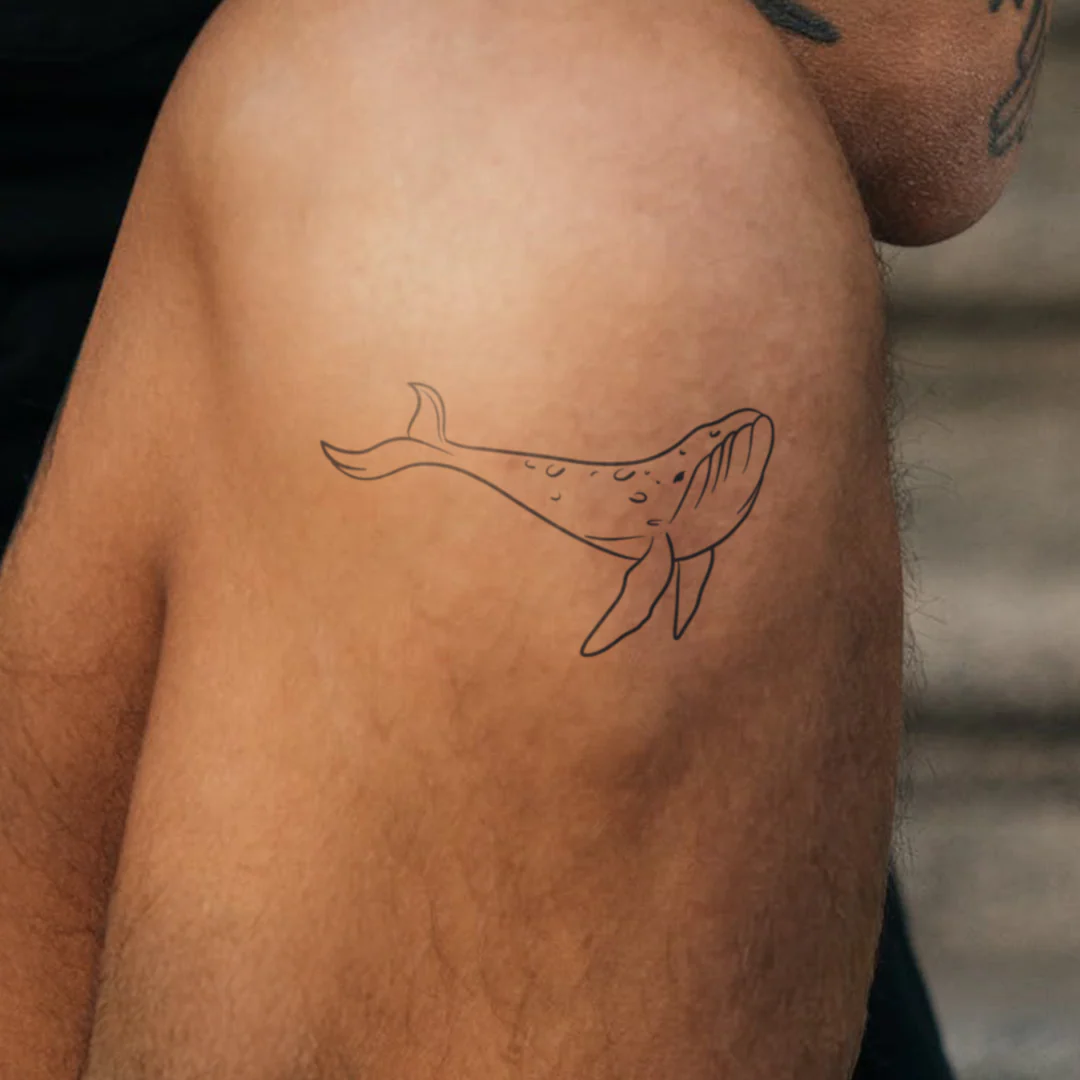 Baleine minimaliste - Image 4