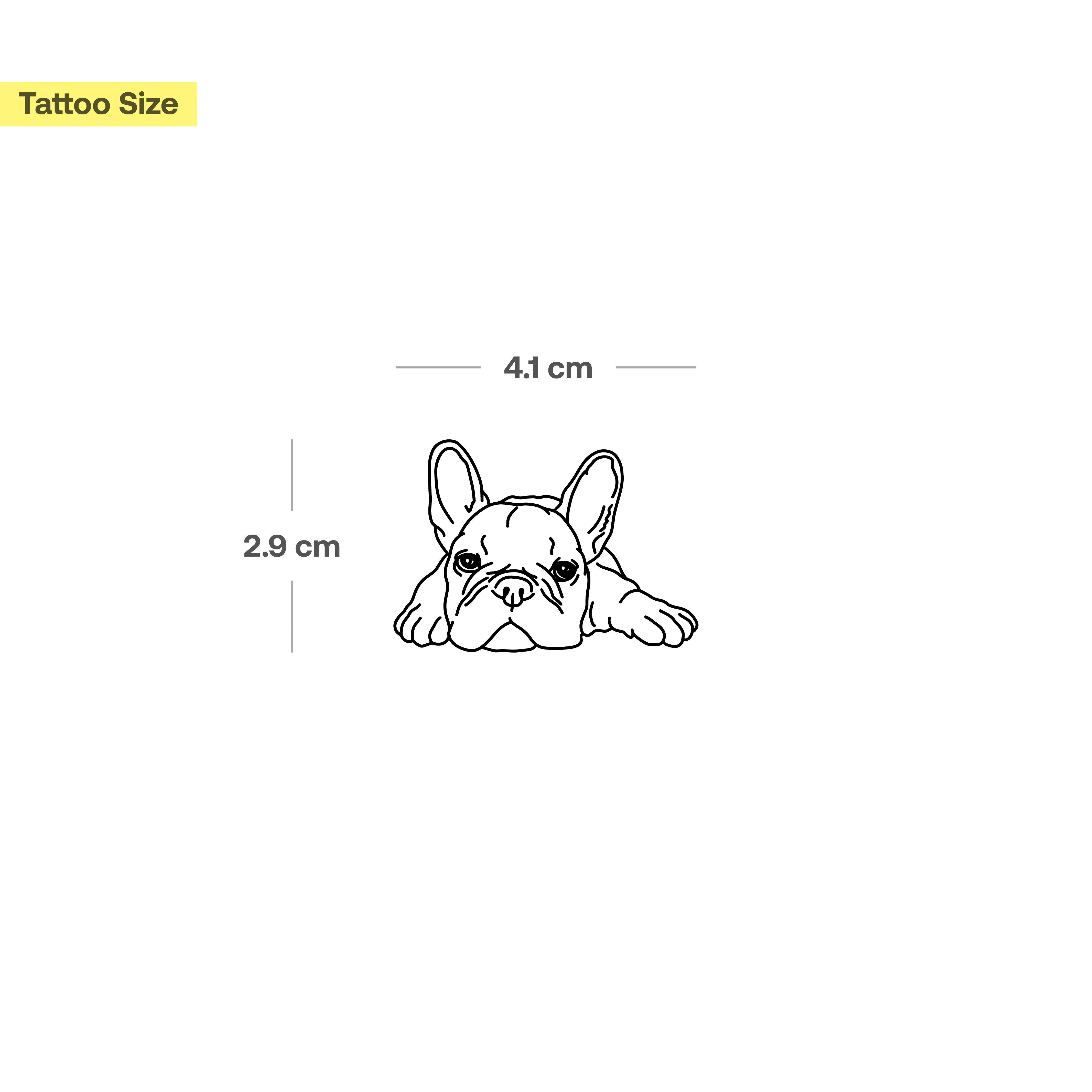 Bouledogue allongé - Image 3