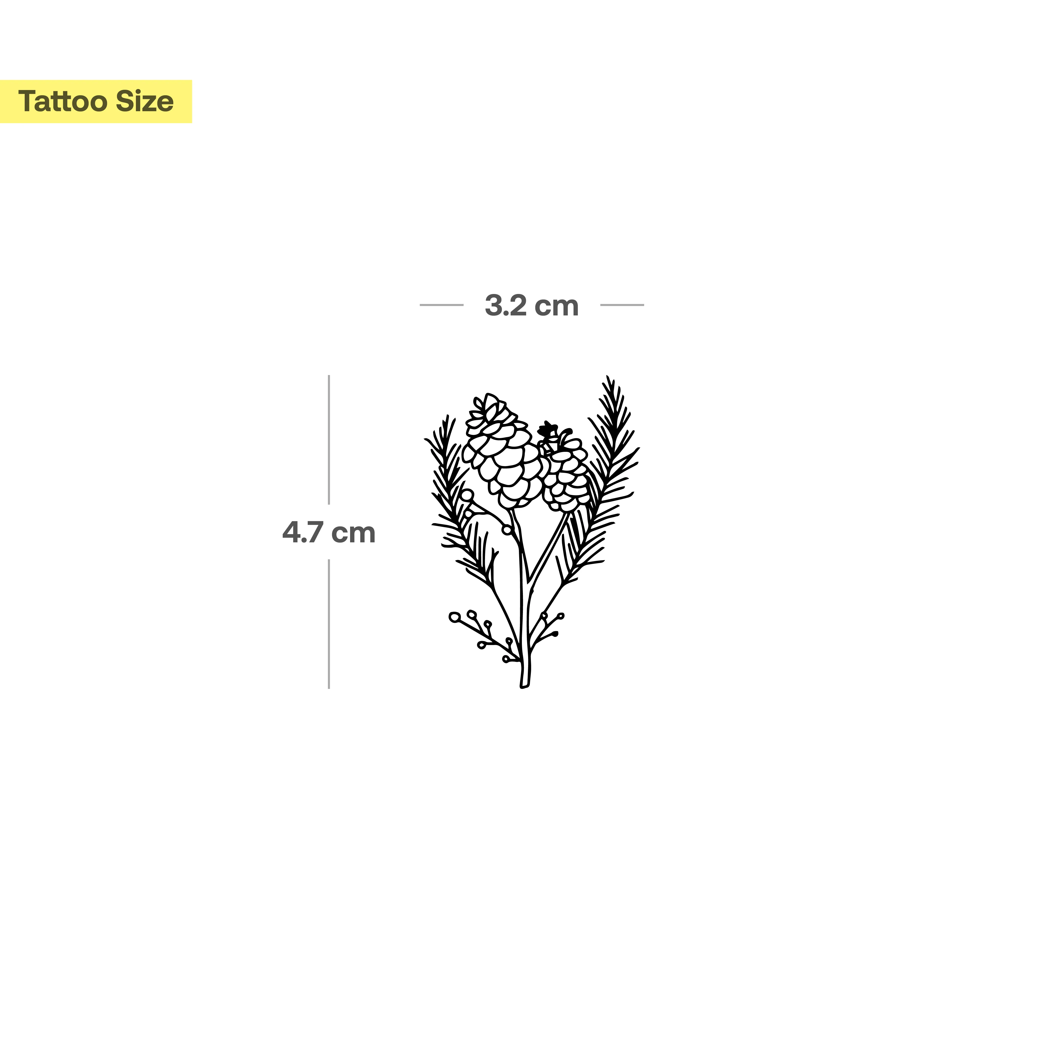 Tatouage Branche de Sapin - Image 3