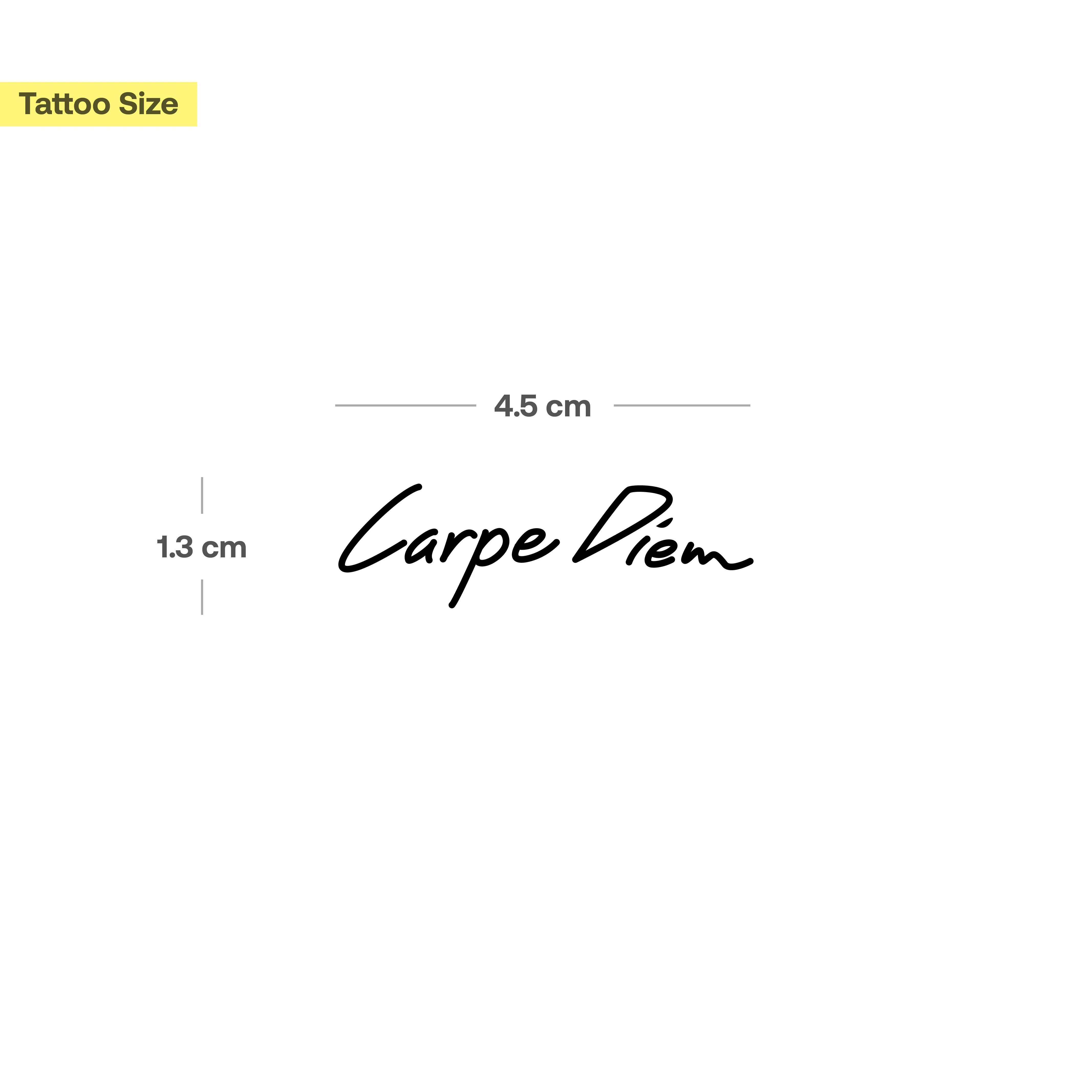 Tatouage carpe diem - Image 3