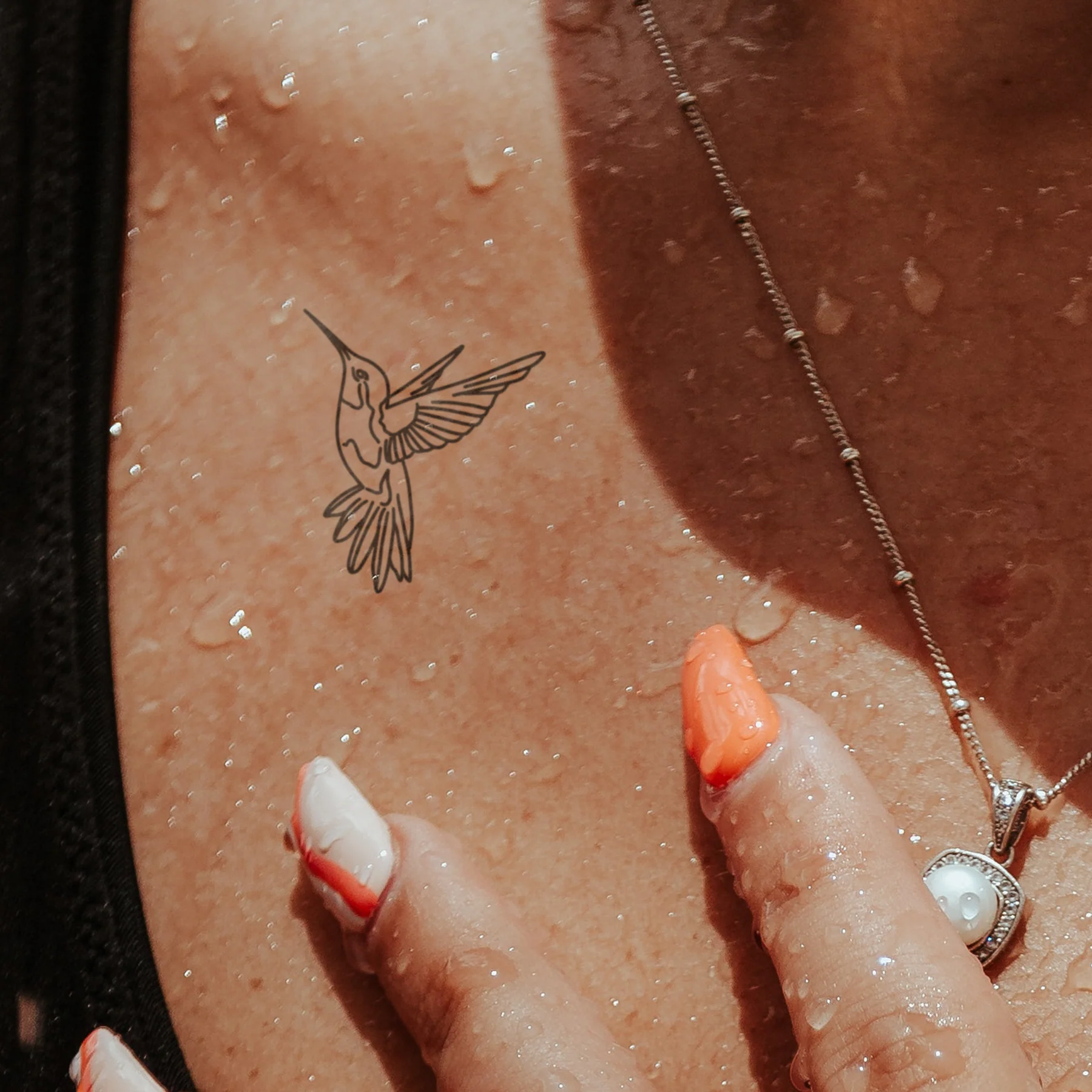 Colibri en One Line