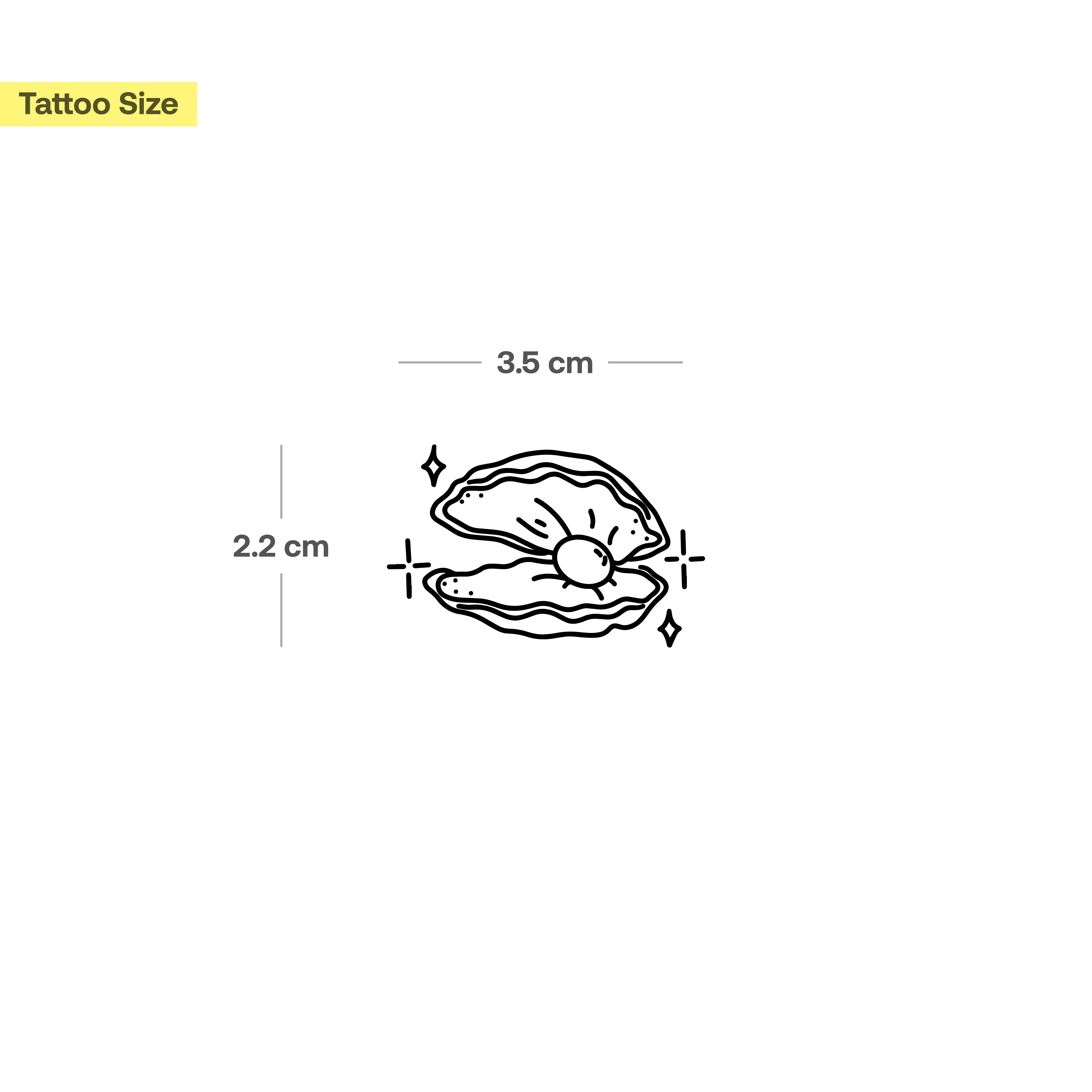 Coquillage - Image 3