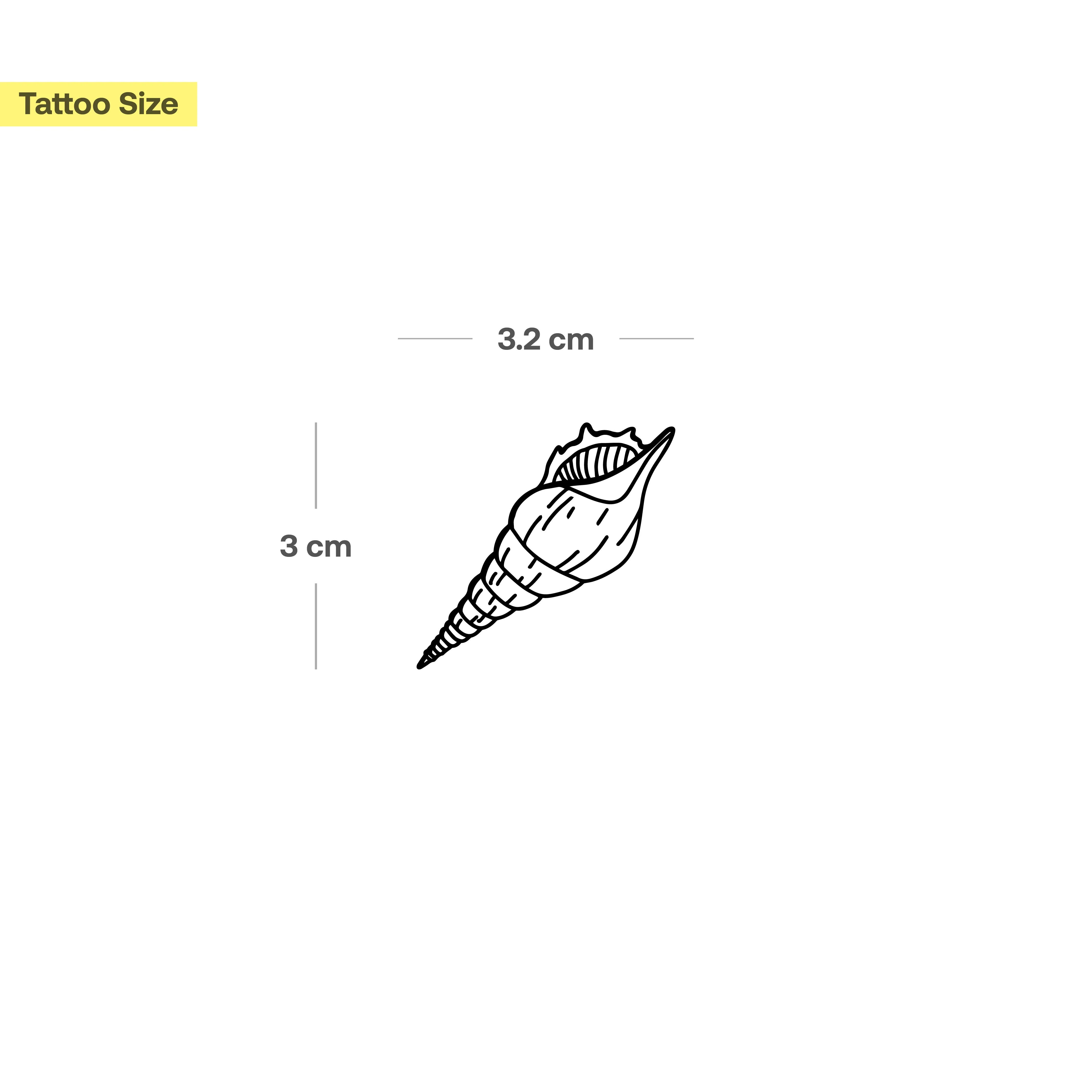 Tatouage coquillage Turret - Image 3