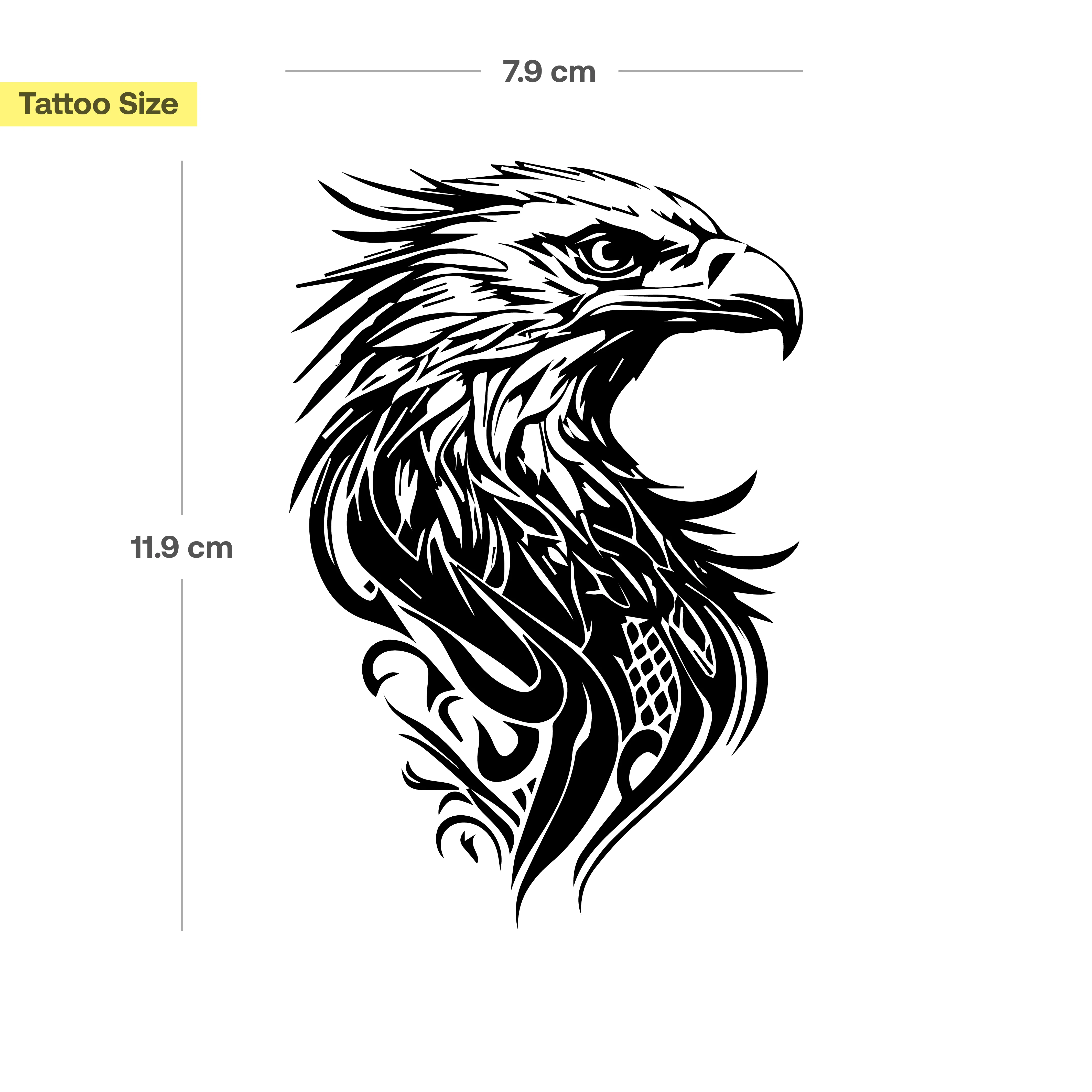 Grand aigle - Image 3