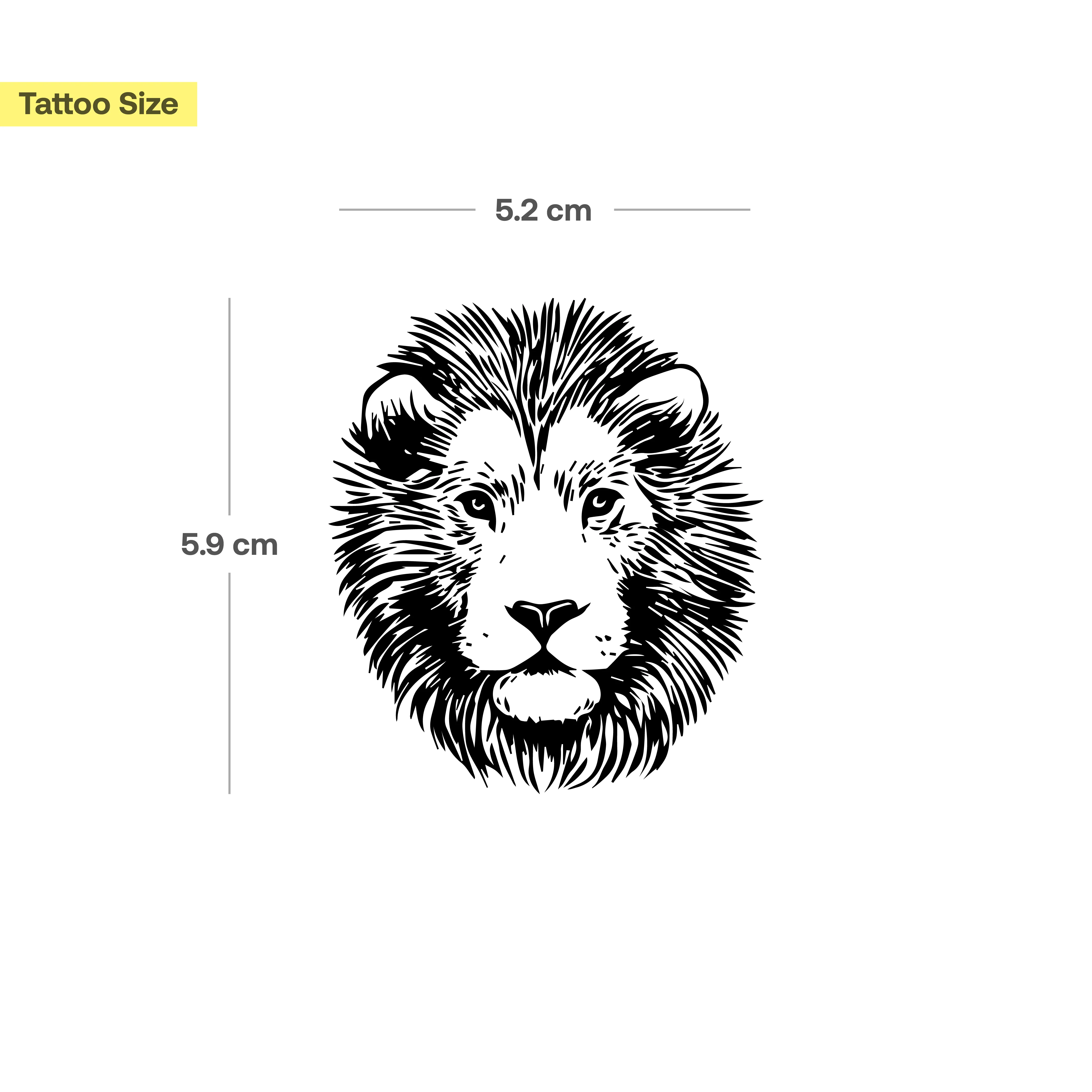 Grand lion - Image 3