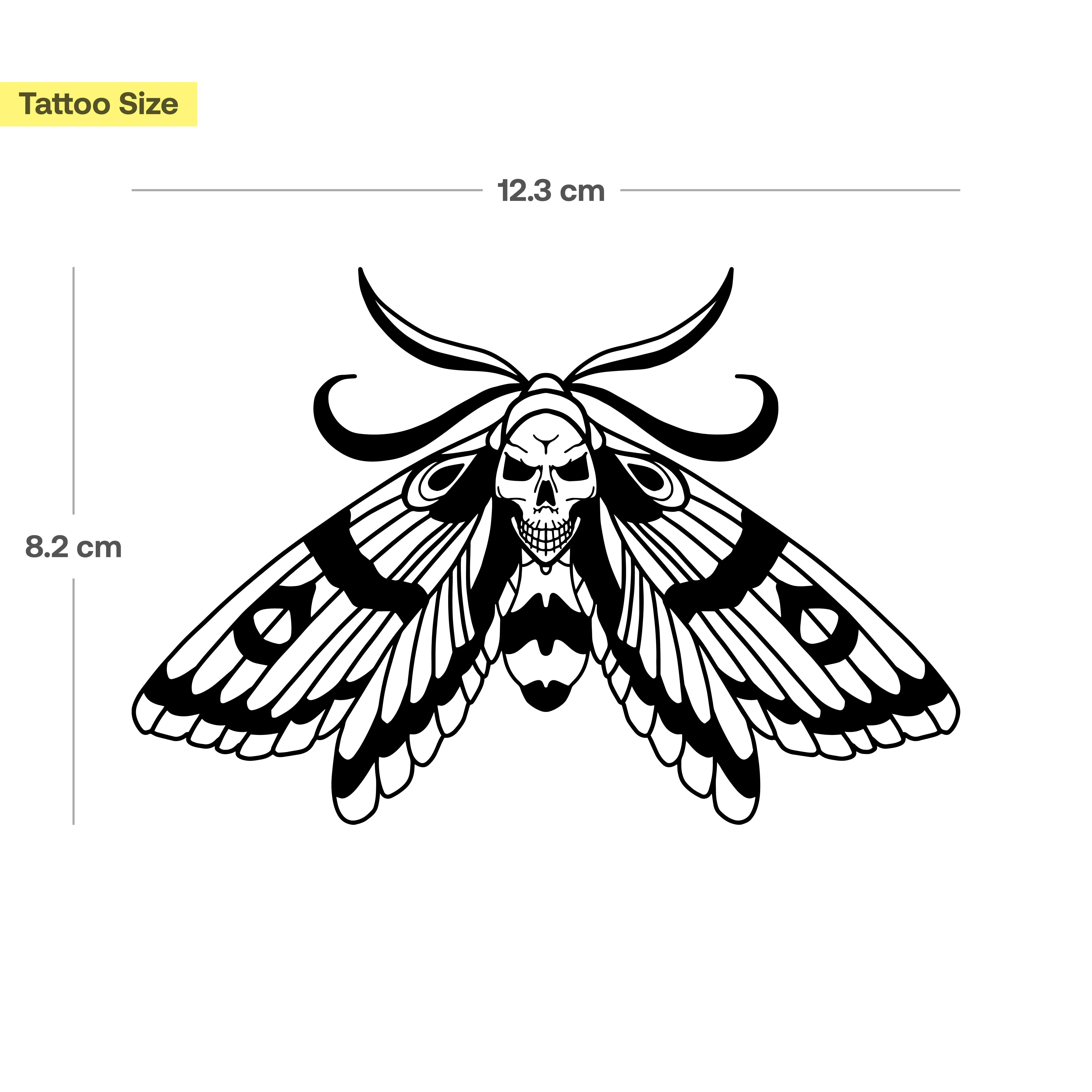 Grand papillon de nuit en tête de mort - Image 3