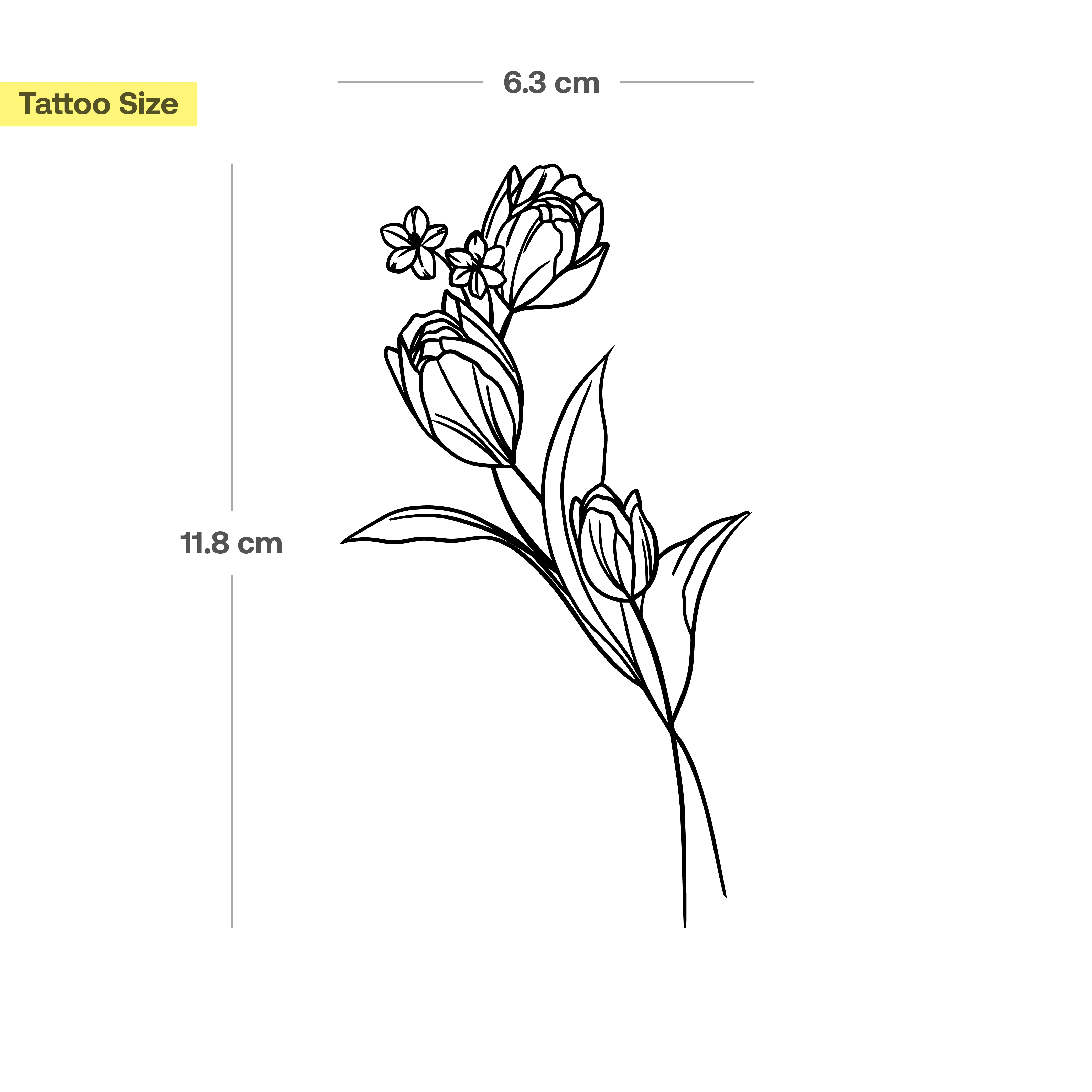 Grosses tulipes - Image 3