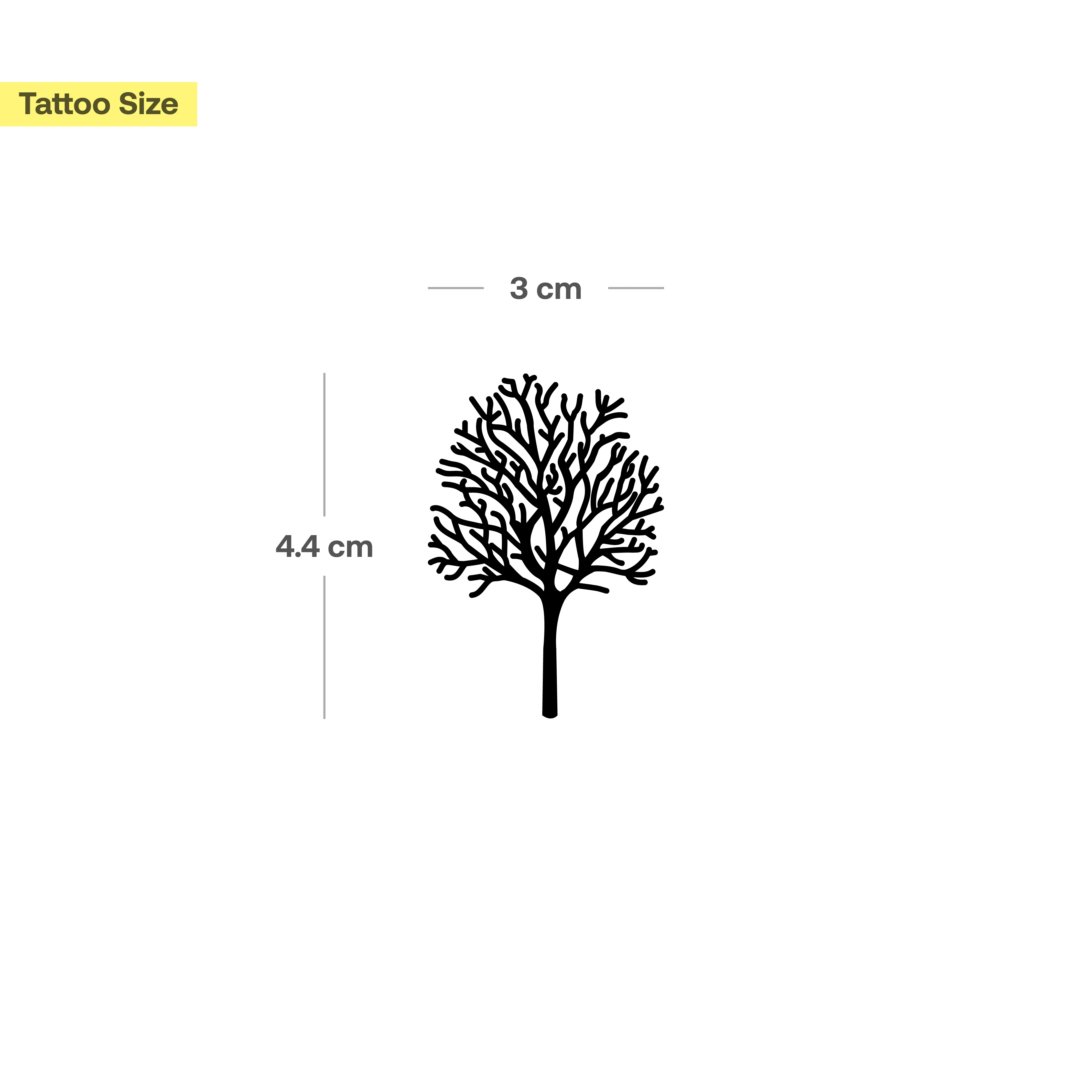 arbre large - Image 3