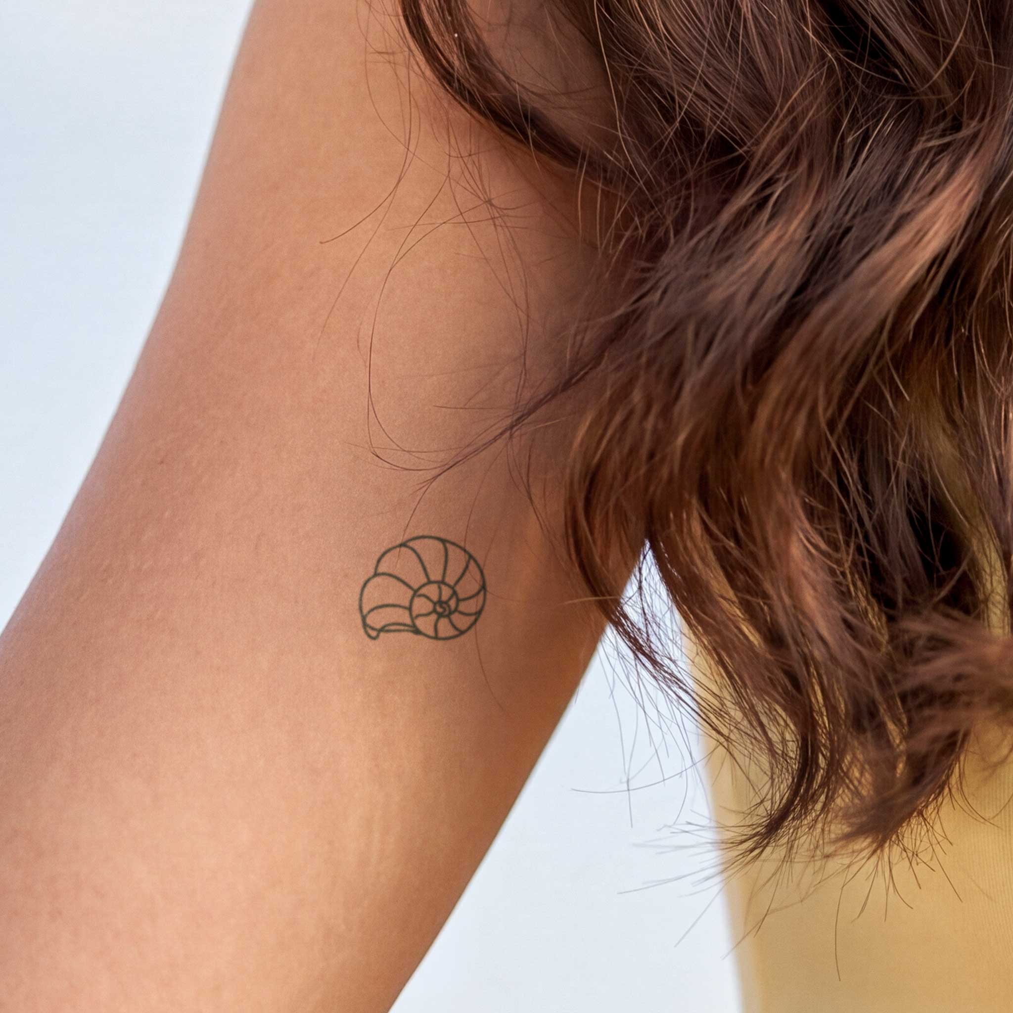 Tatouage petite coquille nautile