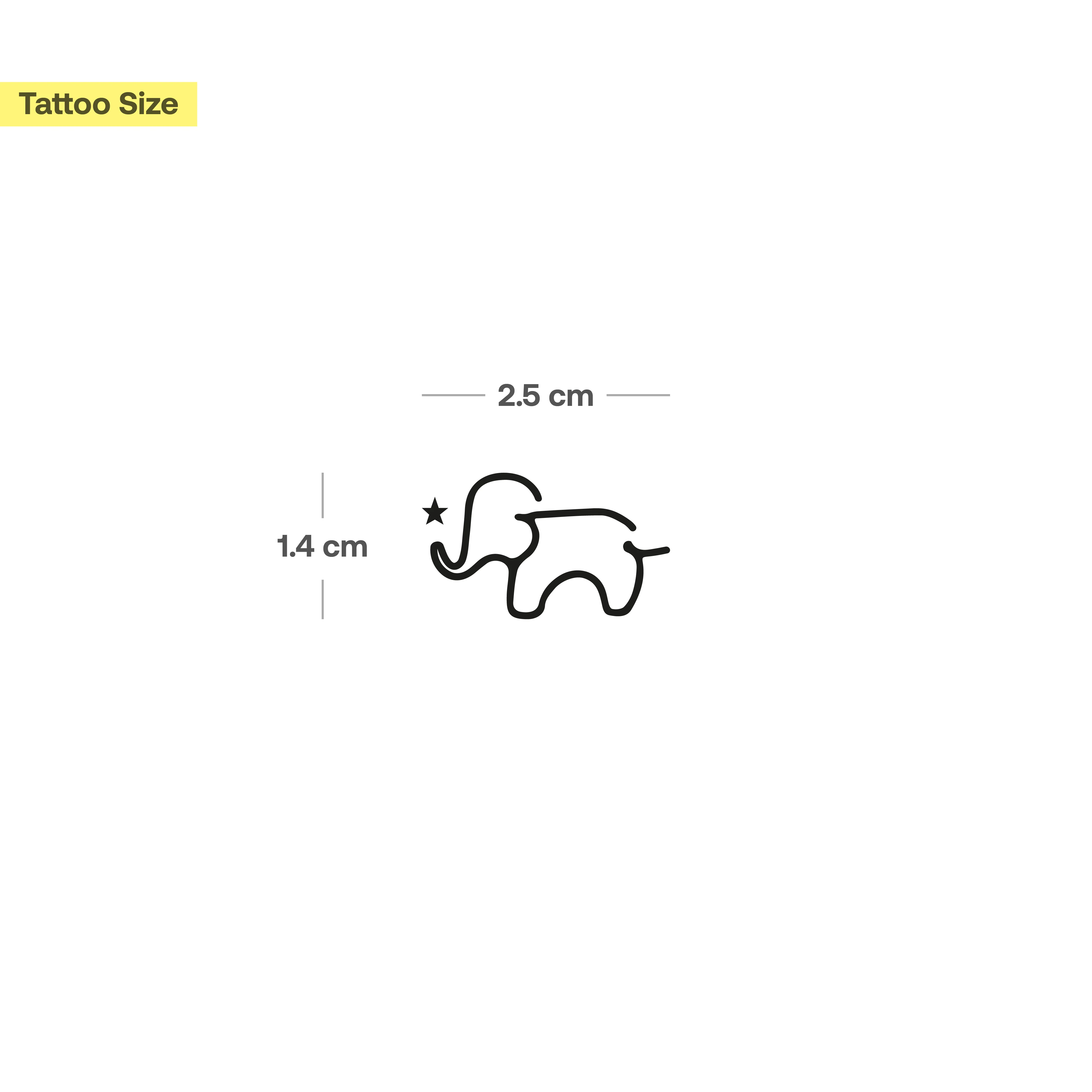 Tatouage Petite Tortue & Petit Éléphant - Lot de 2 - Image 7