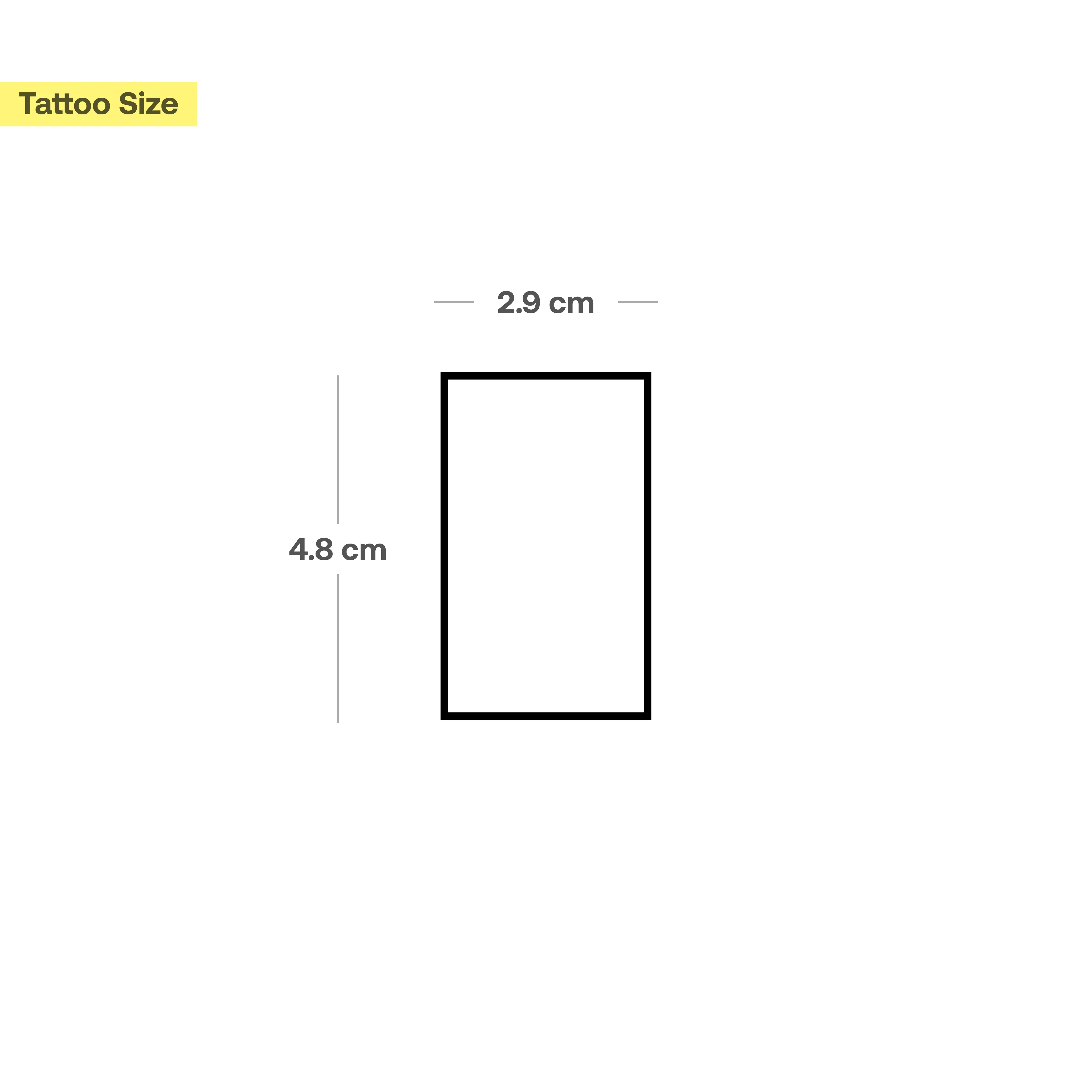 Le rectangle de 1975 - Image 3