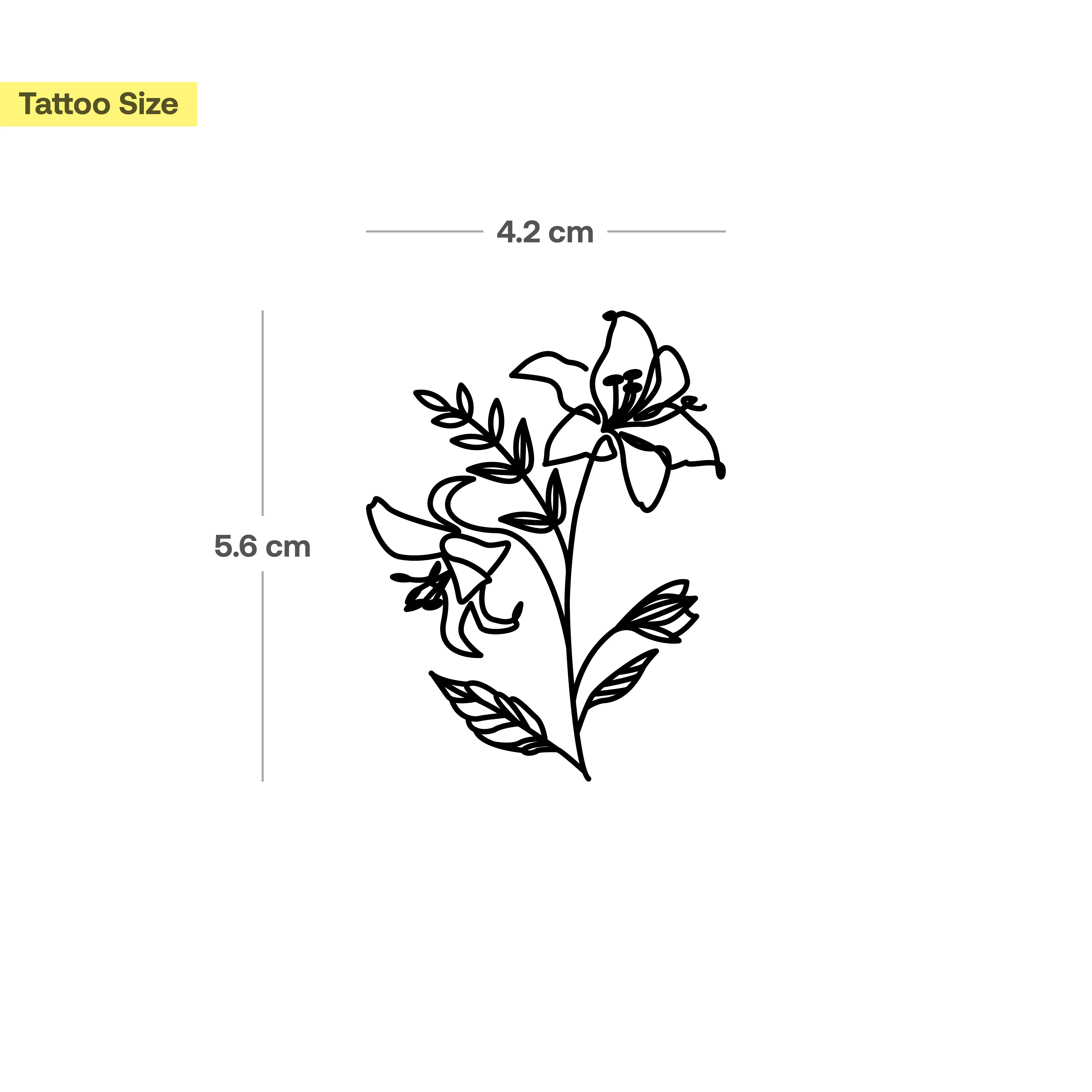 Lys à Feuilles - Image 3
