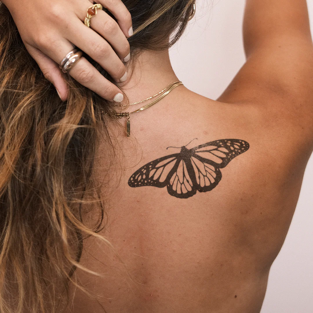 Papillon