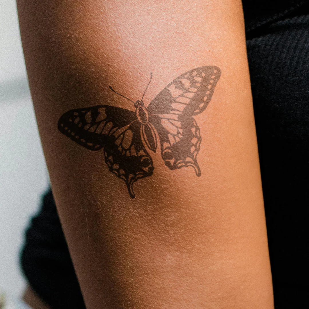 Papillon Blackwork