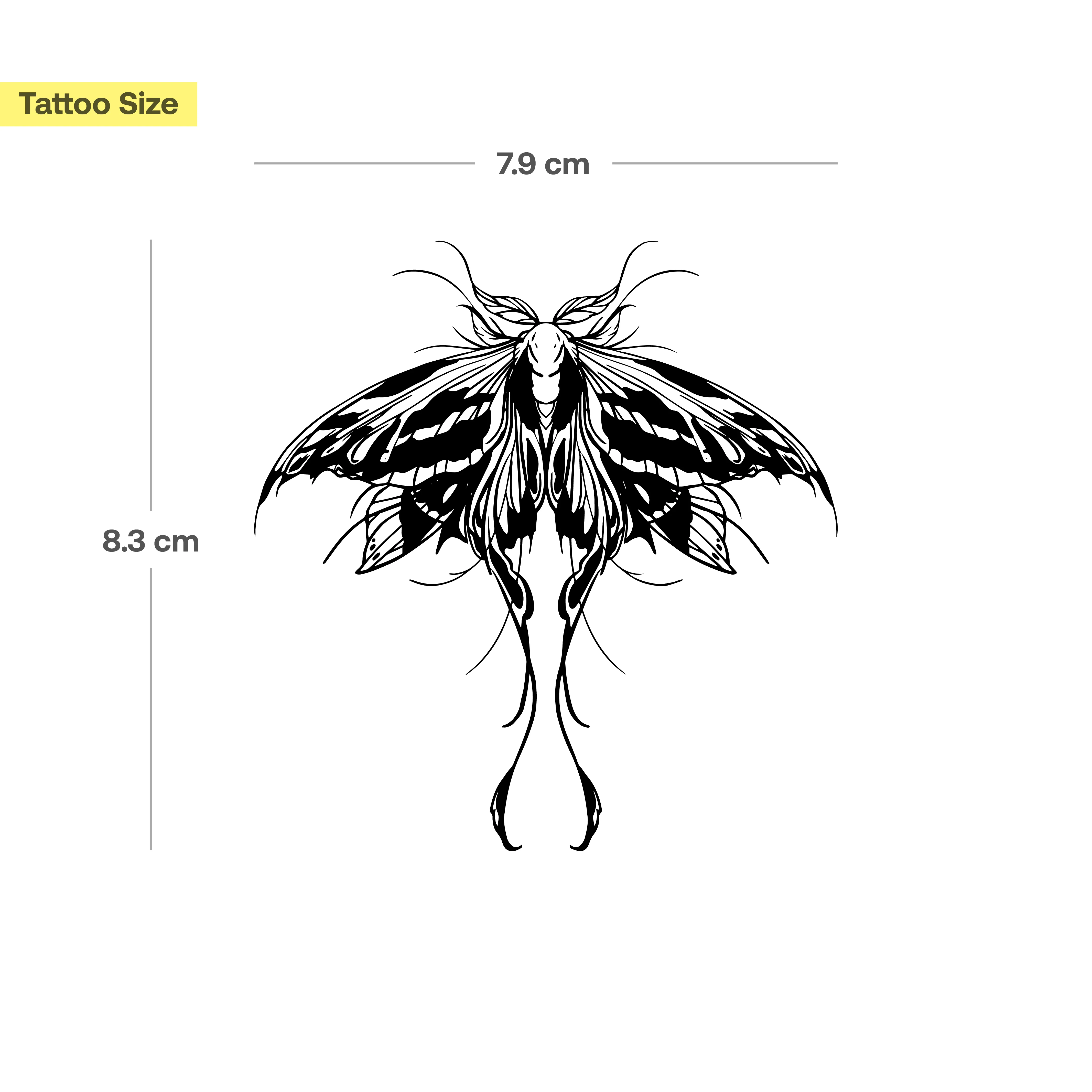 Papillon de nuit détaillé - Image 3