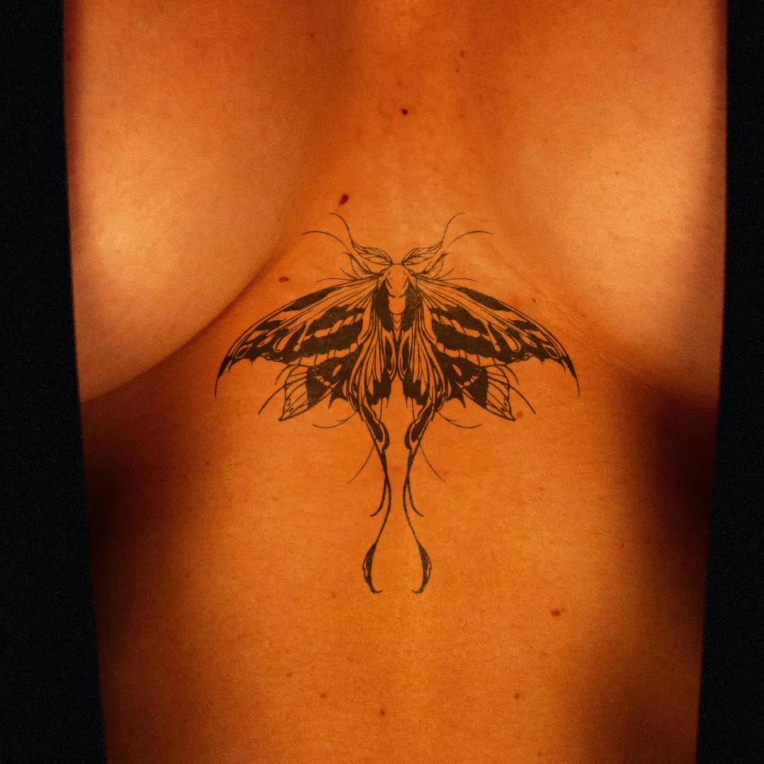 Papillon de nuit détaillé