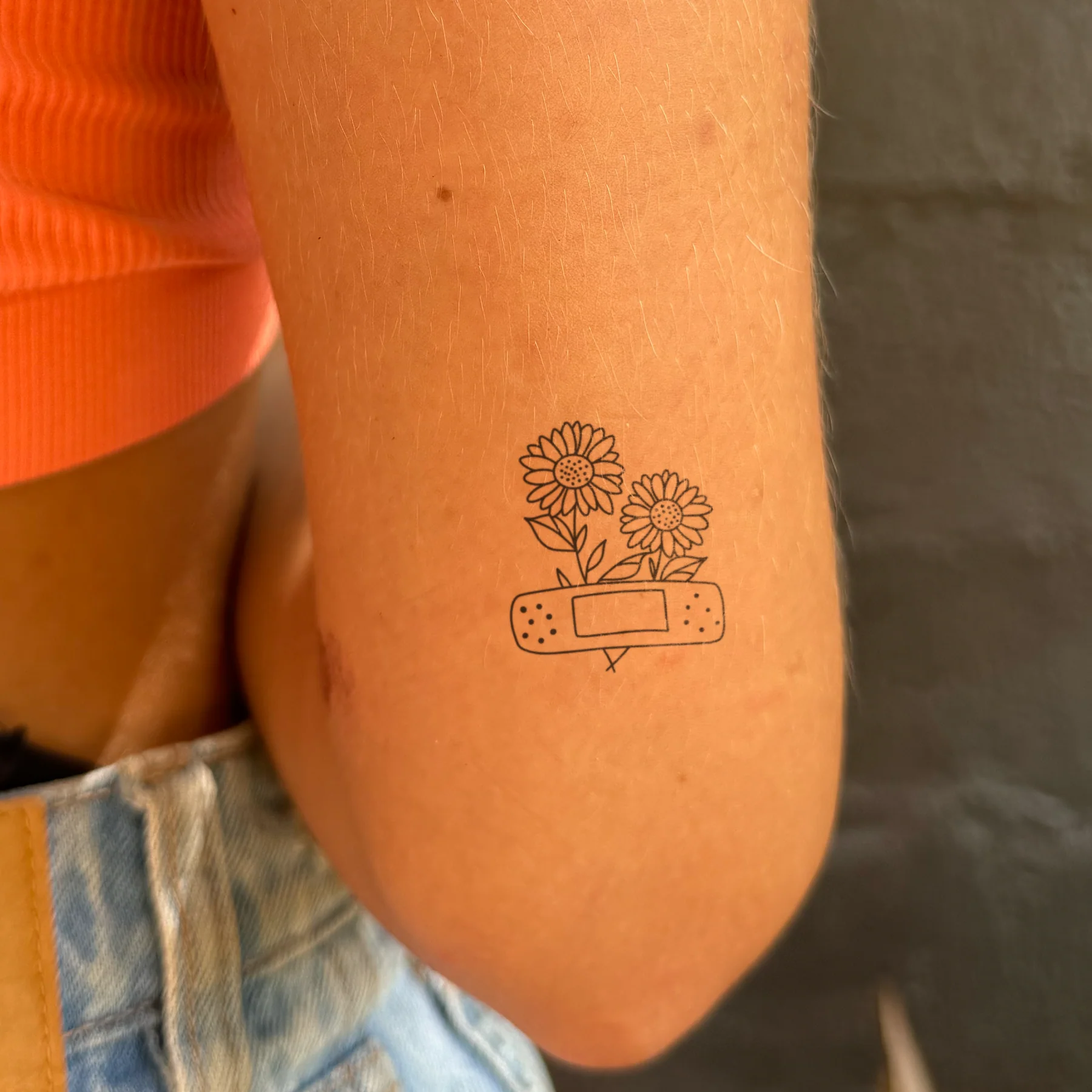 Pavé de tournesol