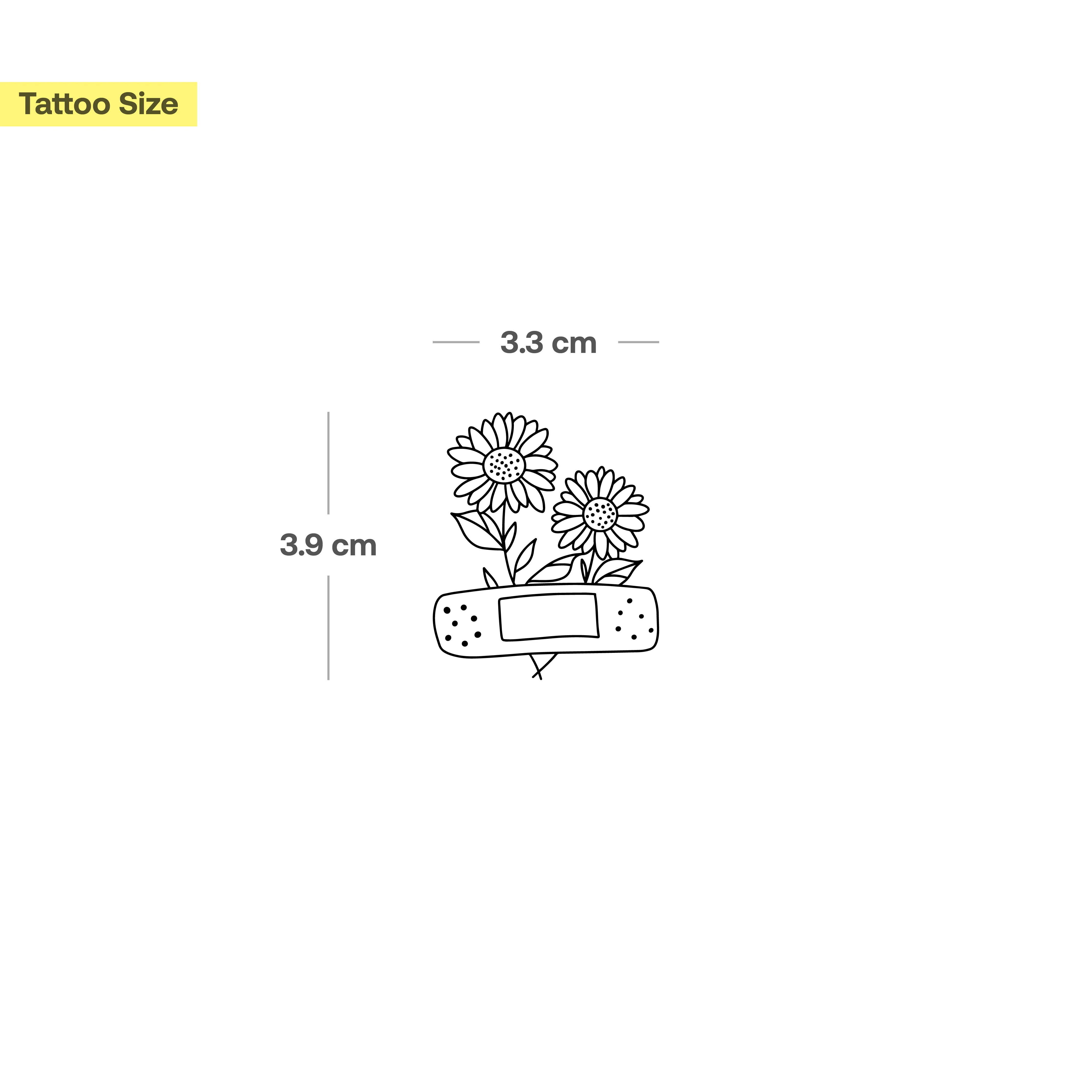 Pavé de tournesol - Image 3