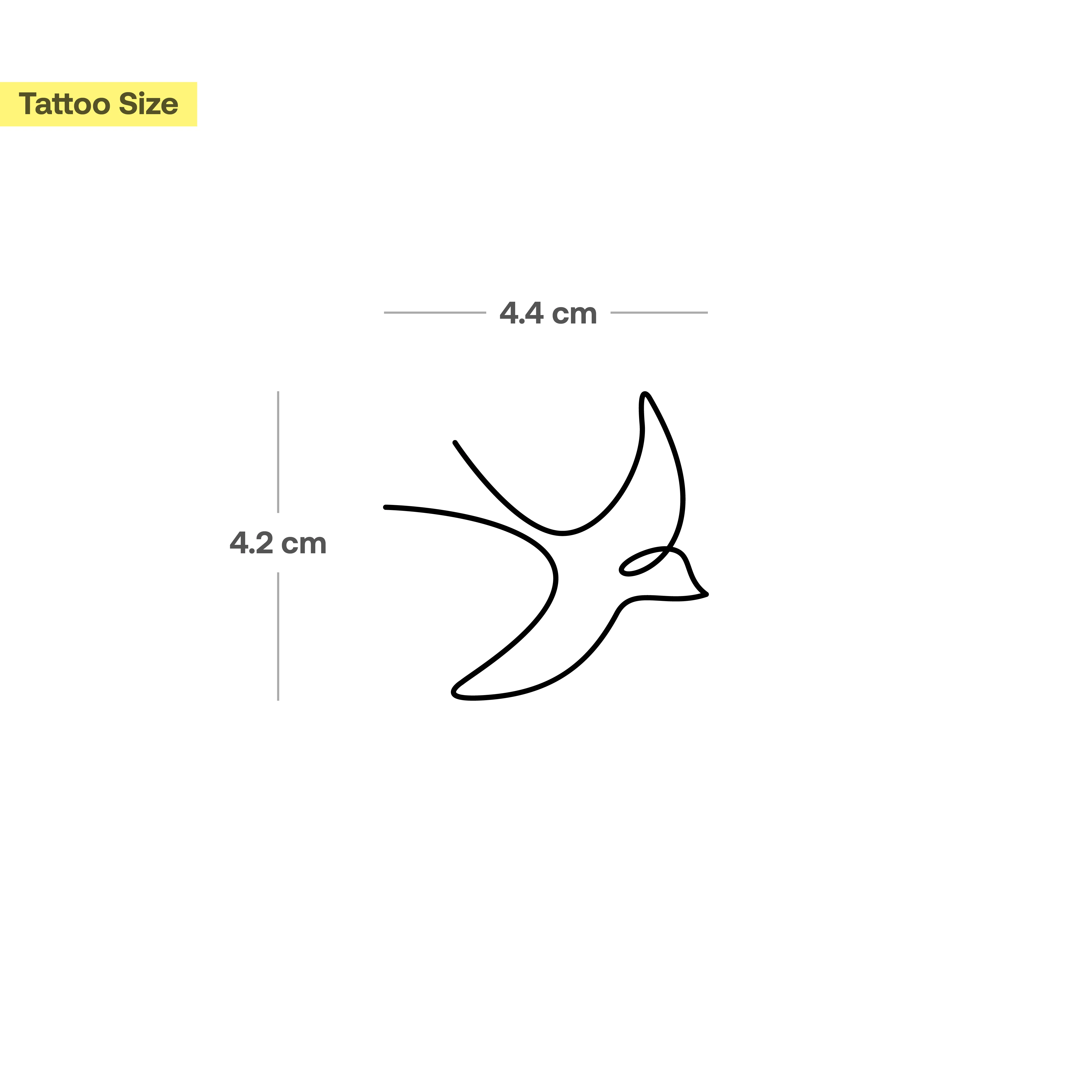 Oiseau de louange - Image 3
