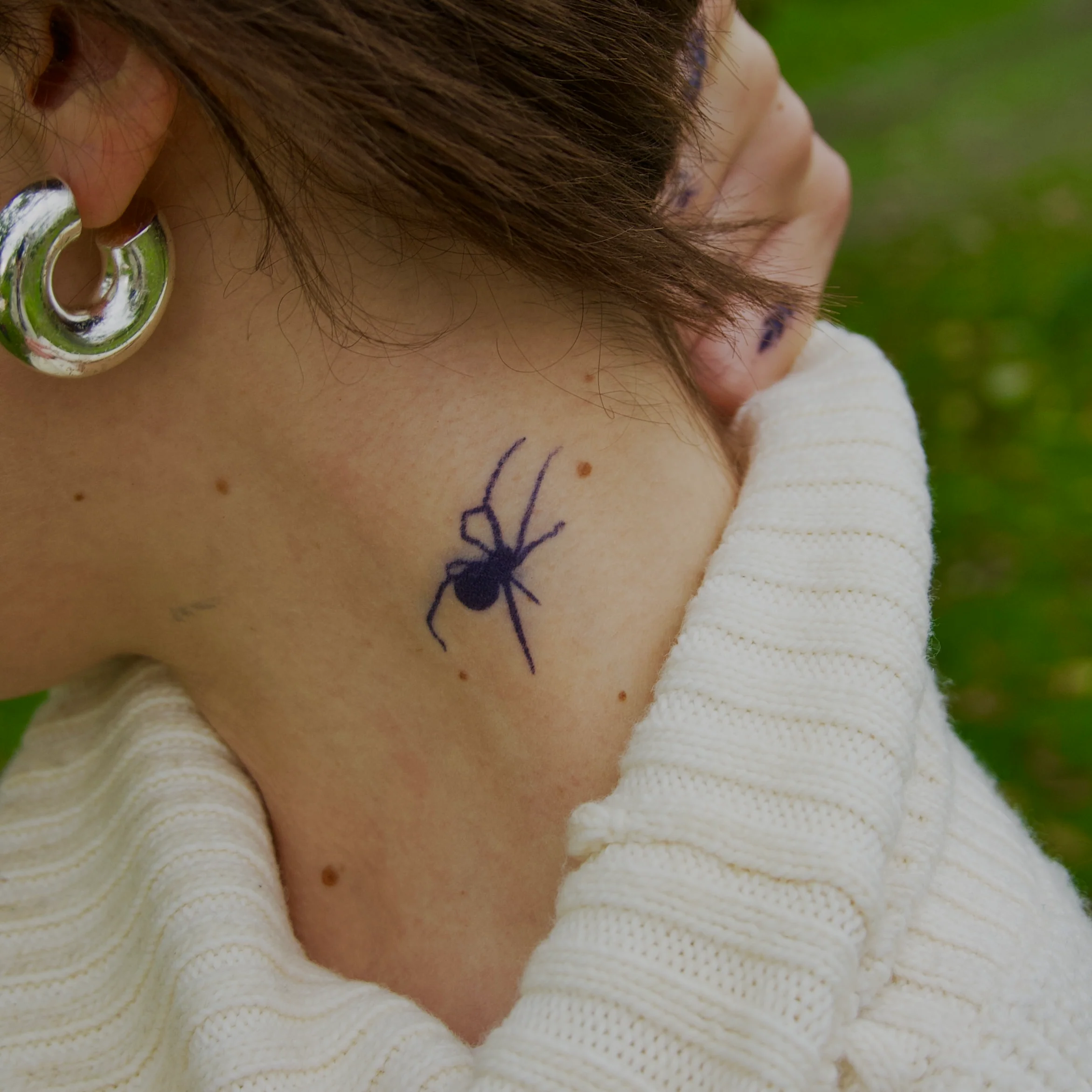 profil d'araignée