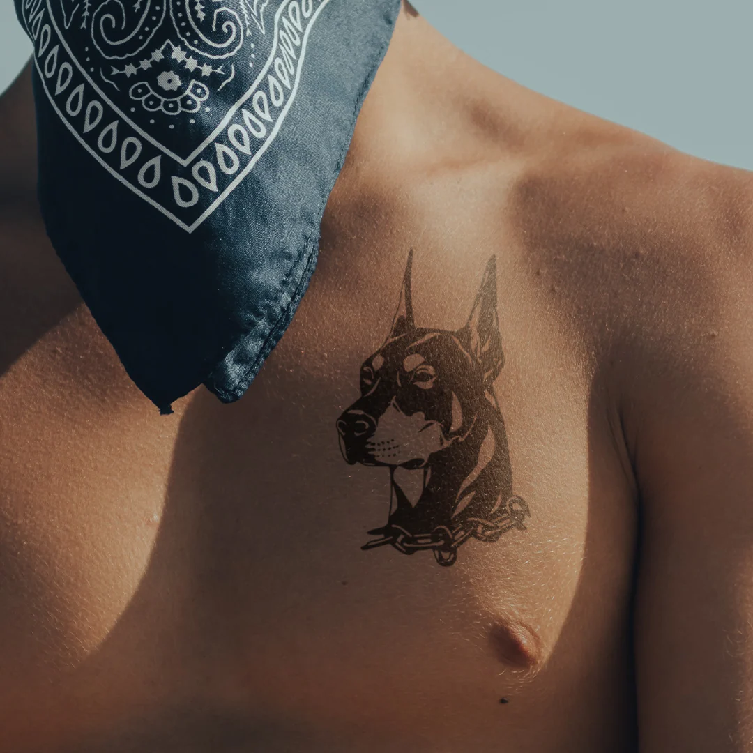 Rottweiler - Image 4