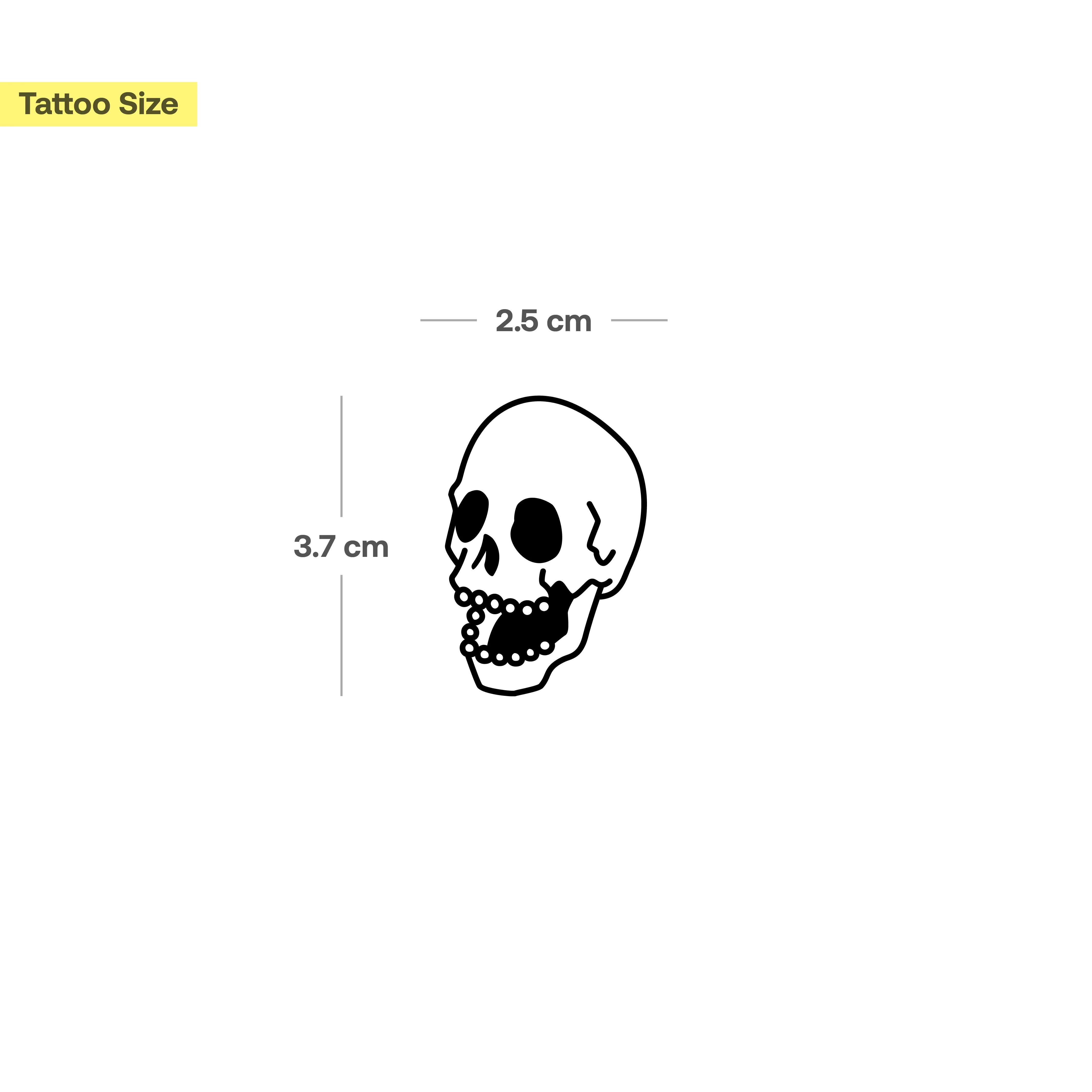 Crâne avec une bouche ouverte - Image 3