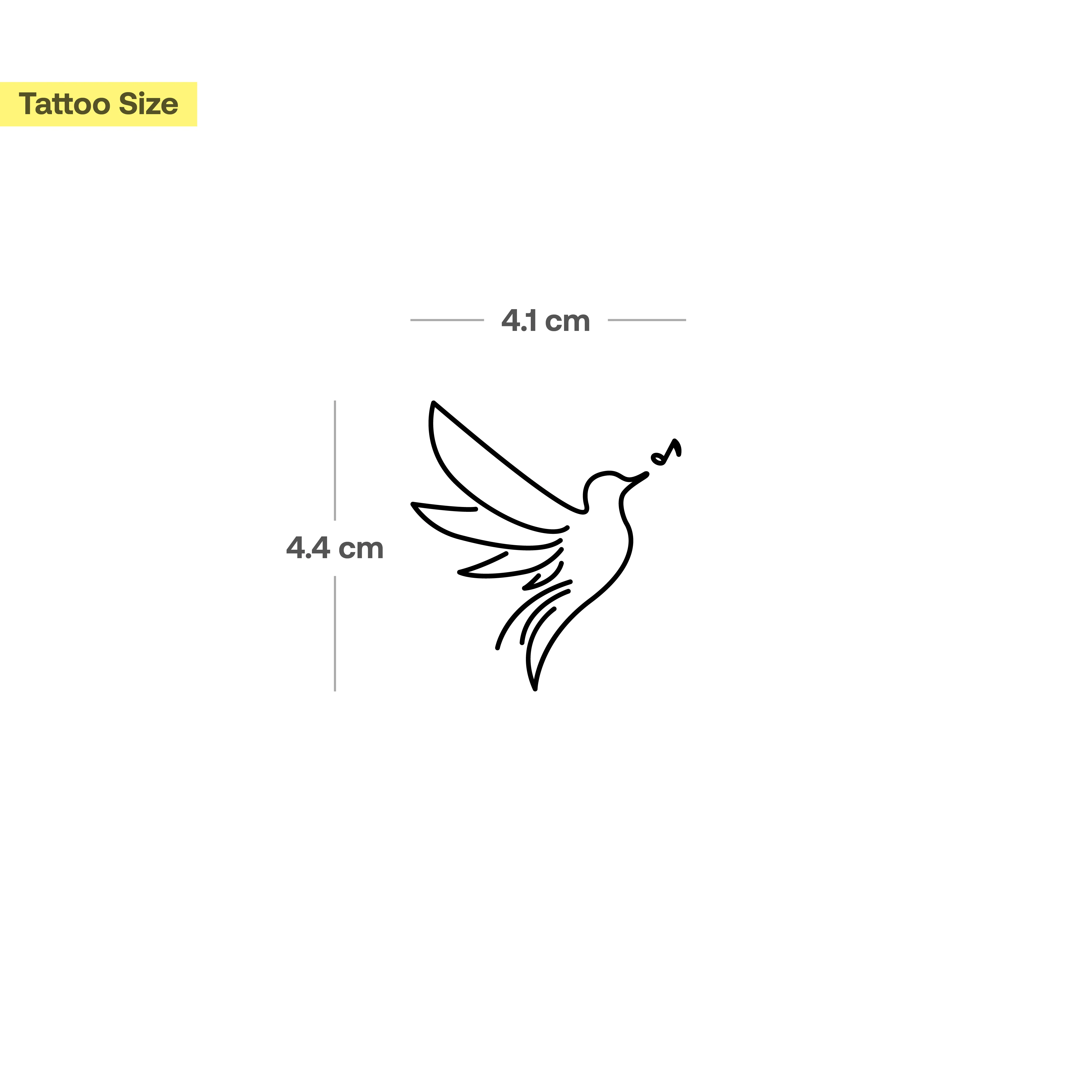 Oiseau Chanteur - Image 3