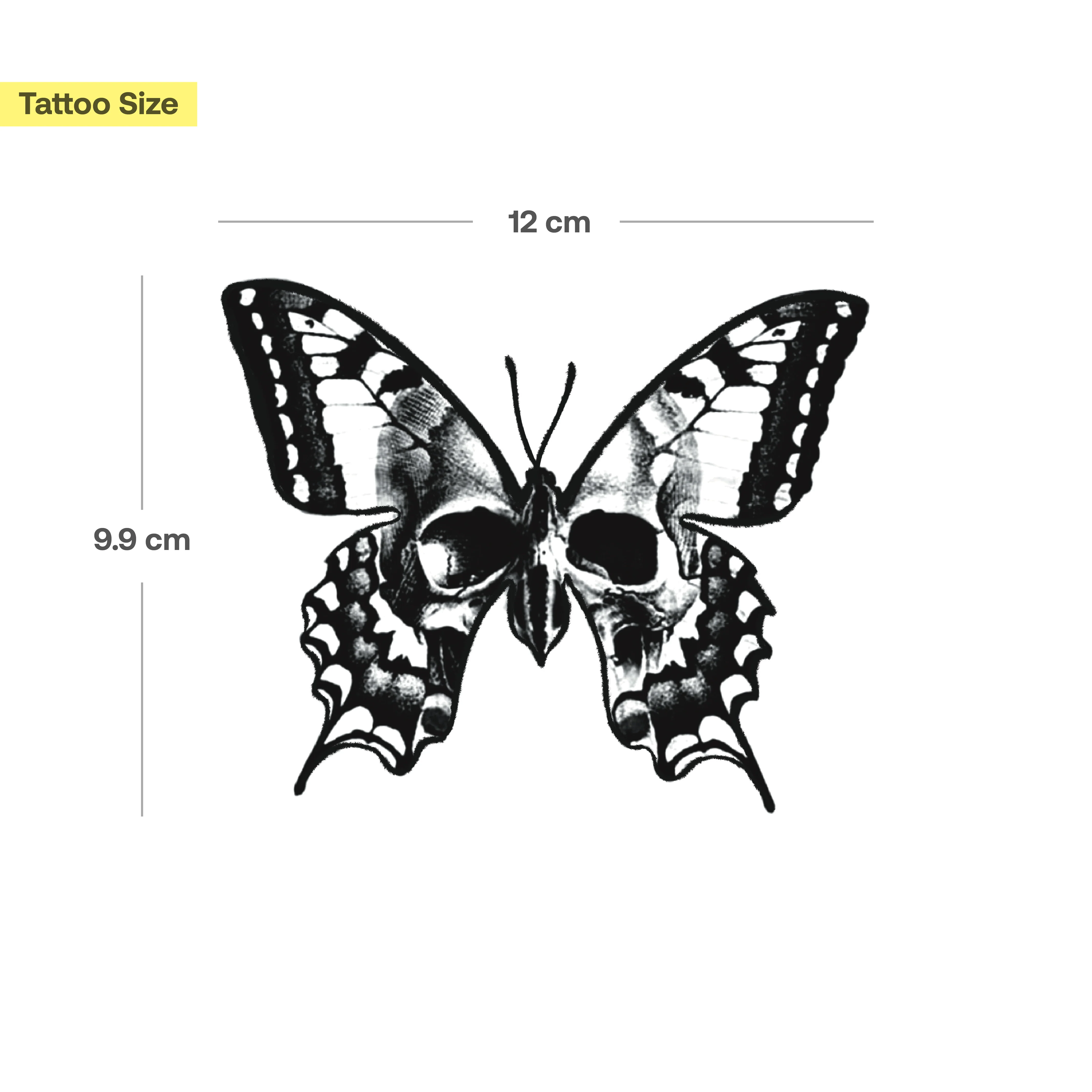 Tatouage Papillon crâne - Image 3