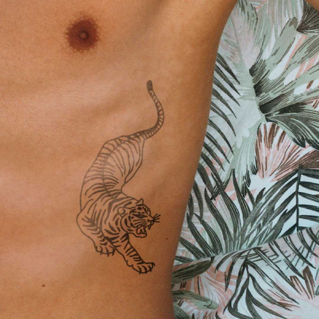 Tigre traditionnel