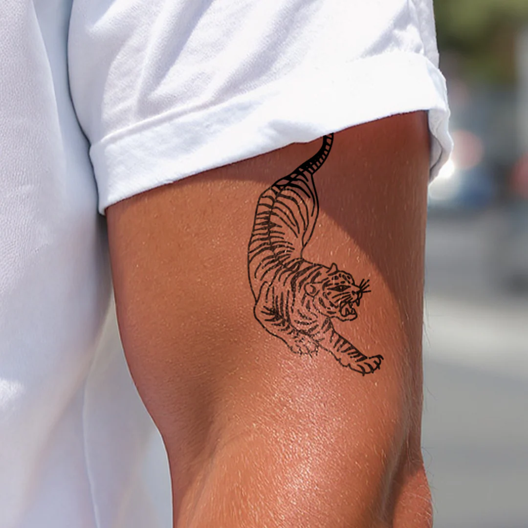 Tigre traditionnel - Image 4