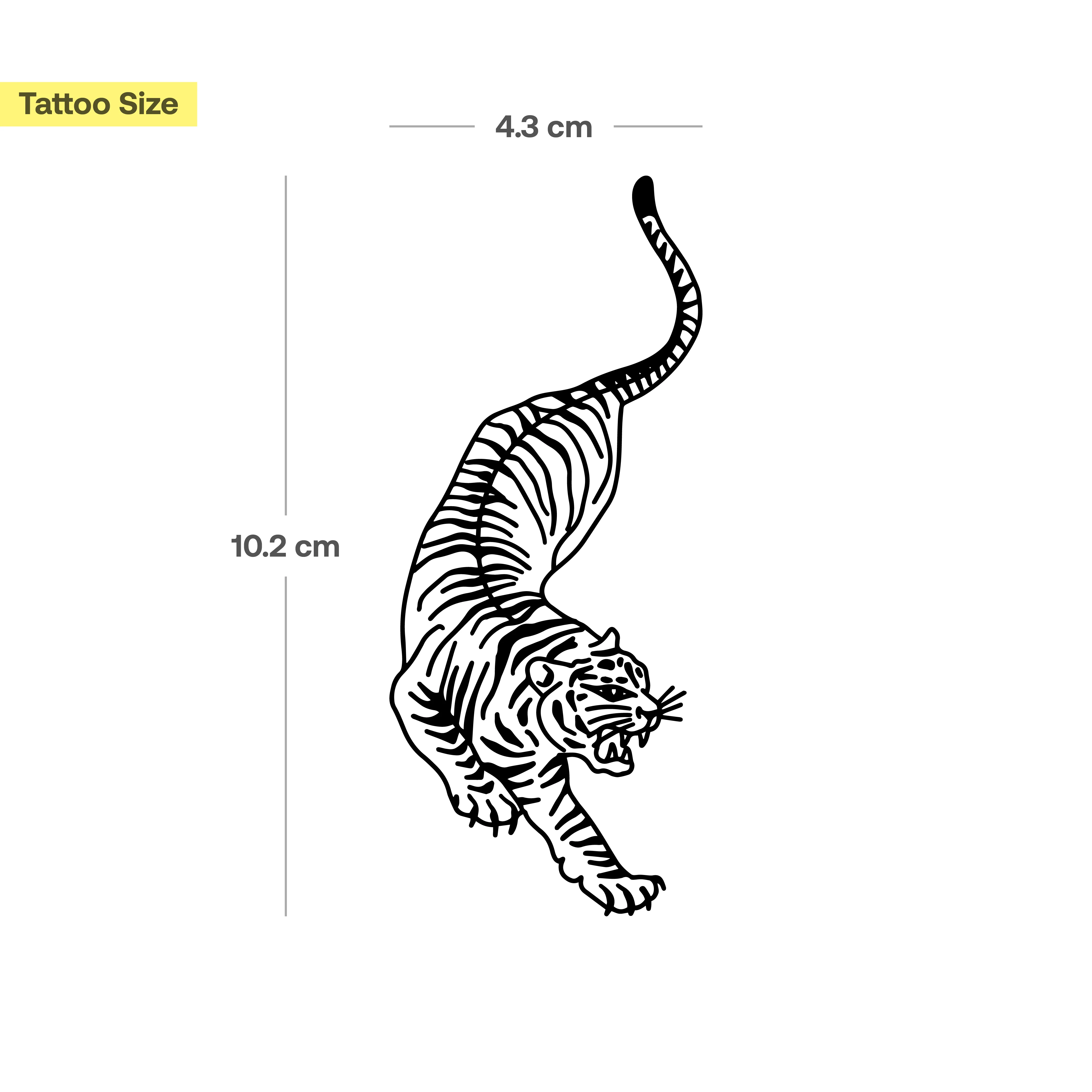 Tigre traditionnel - Image 3
