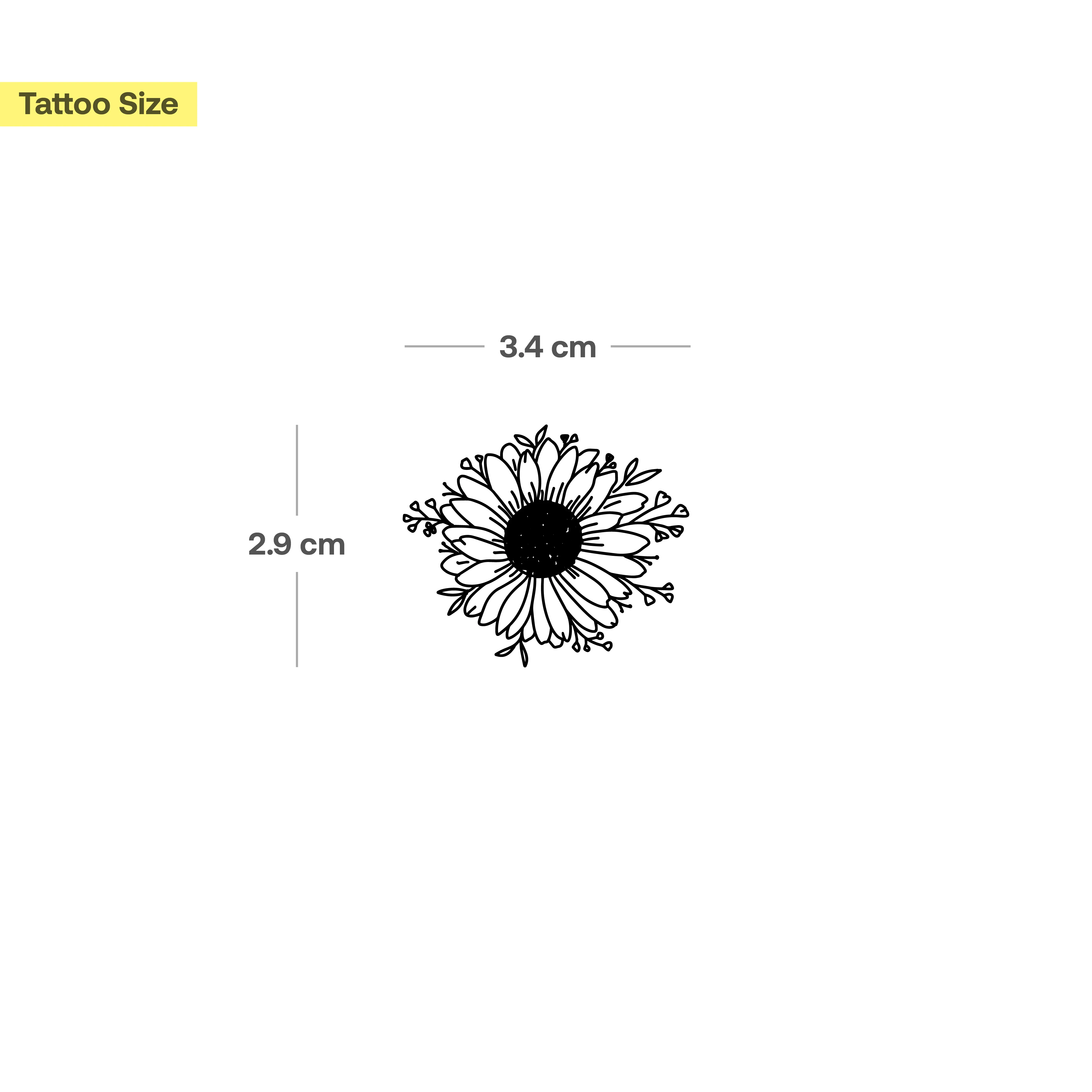Tournesol - Image 3