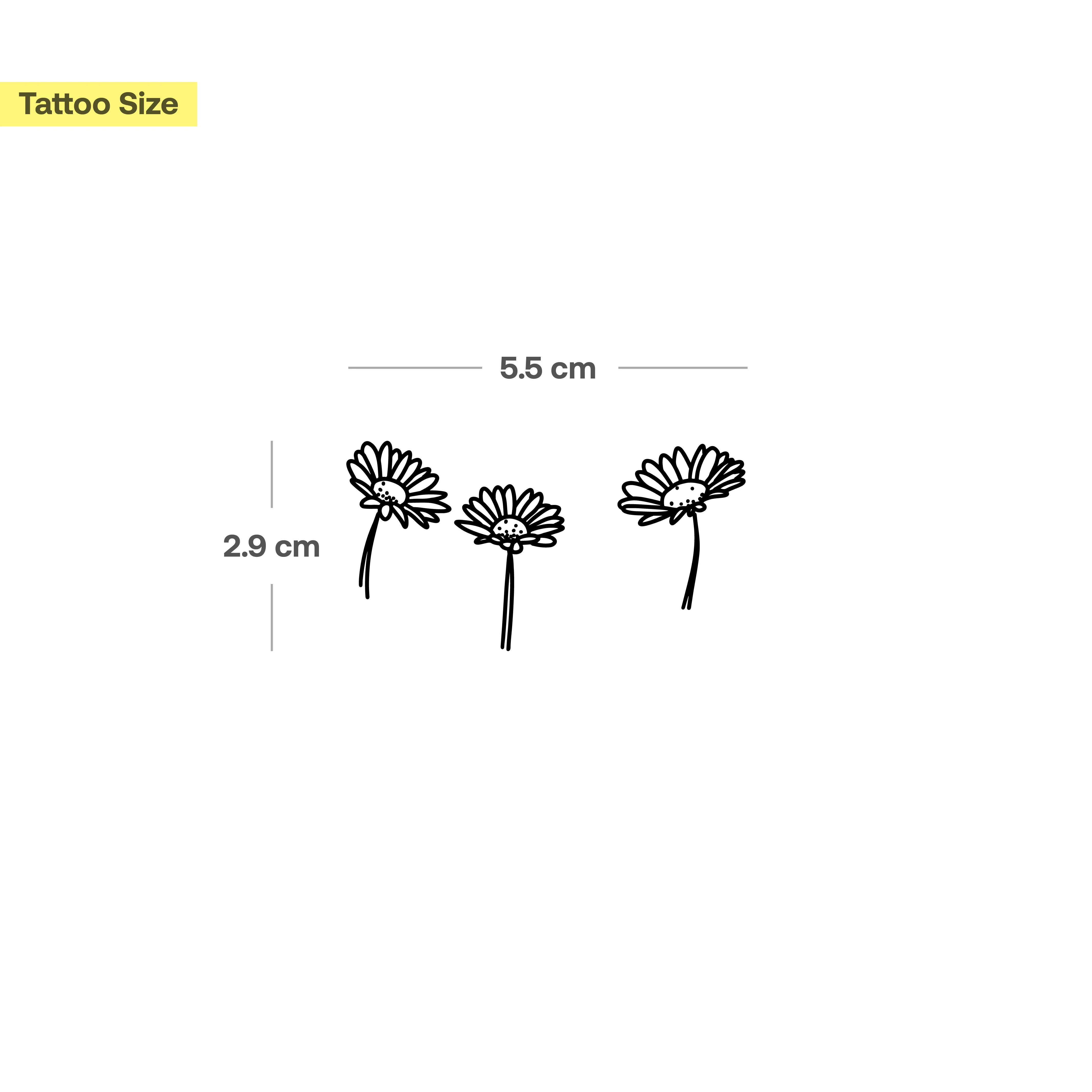 Trois marguerites - Image 3