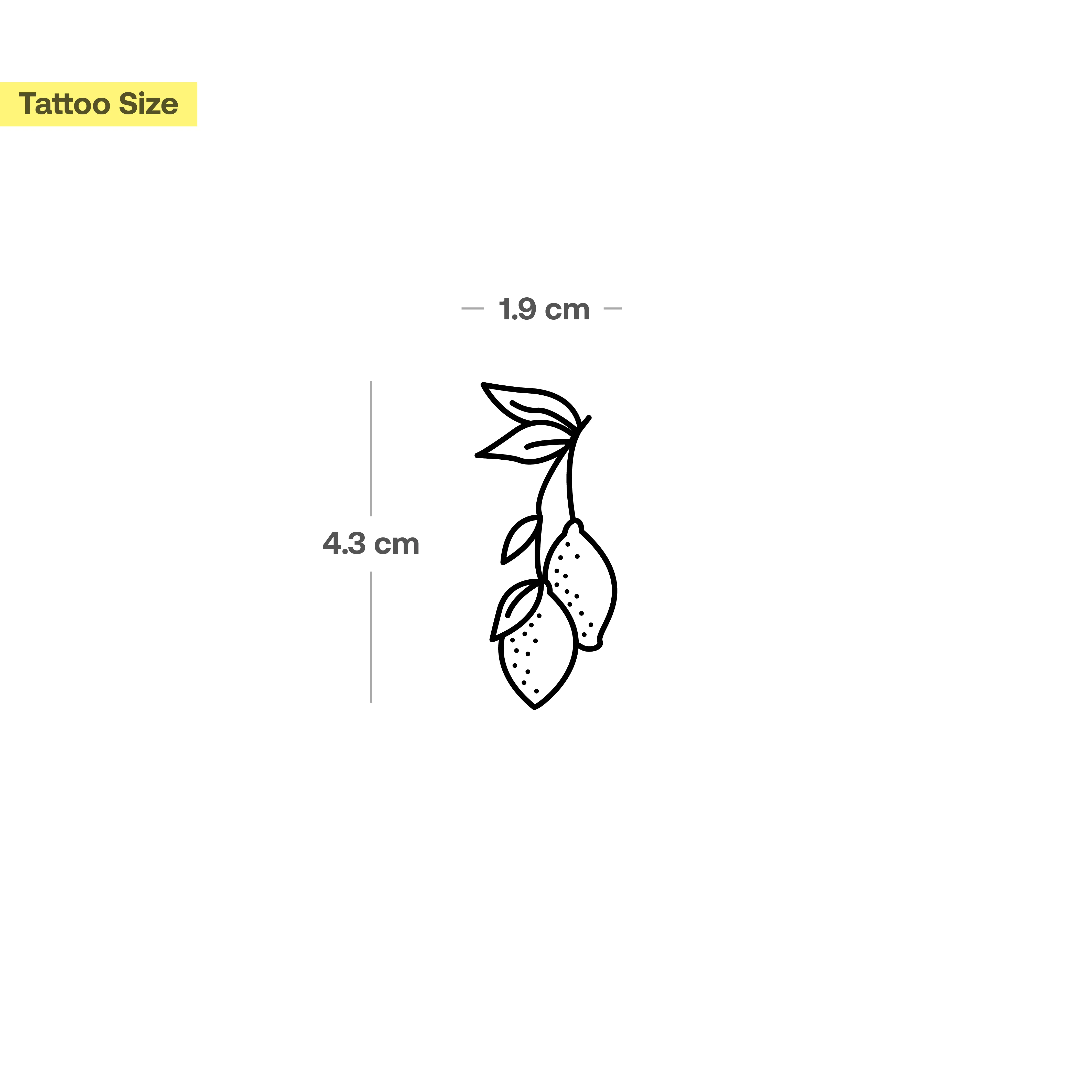 Citrons sur une Branche - Image 3
